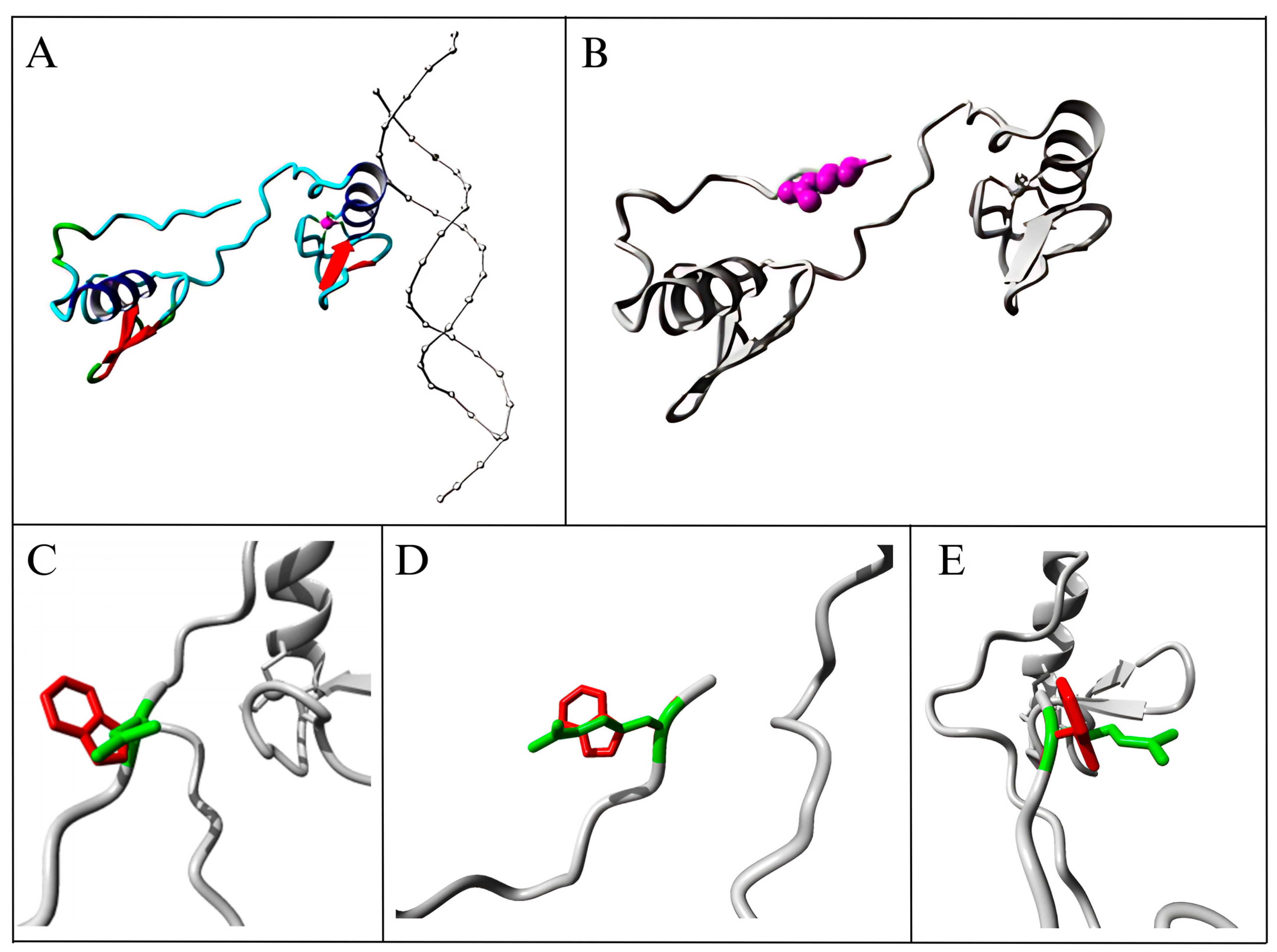Cancers 17 03338 g008
