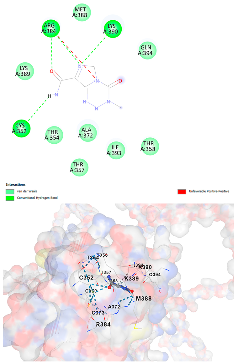 Cancers 17 03338 i009 Cancers 17 03338 i009