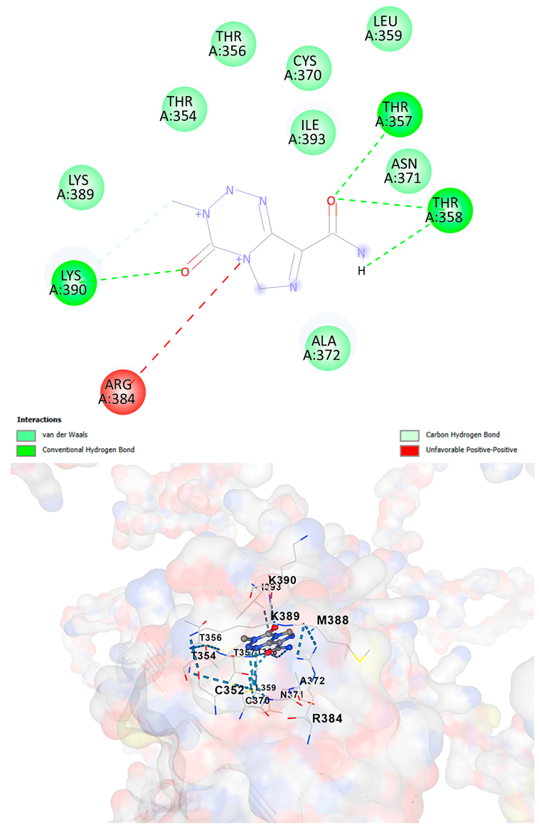 Cancers 17 03338 i010 Cancers 17 03338 i010