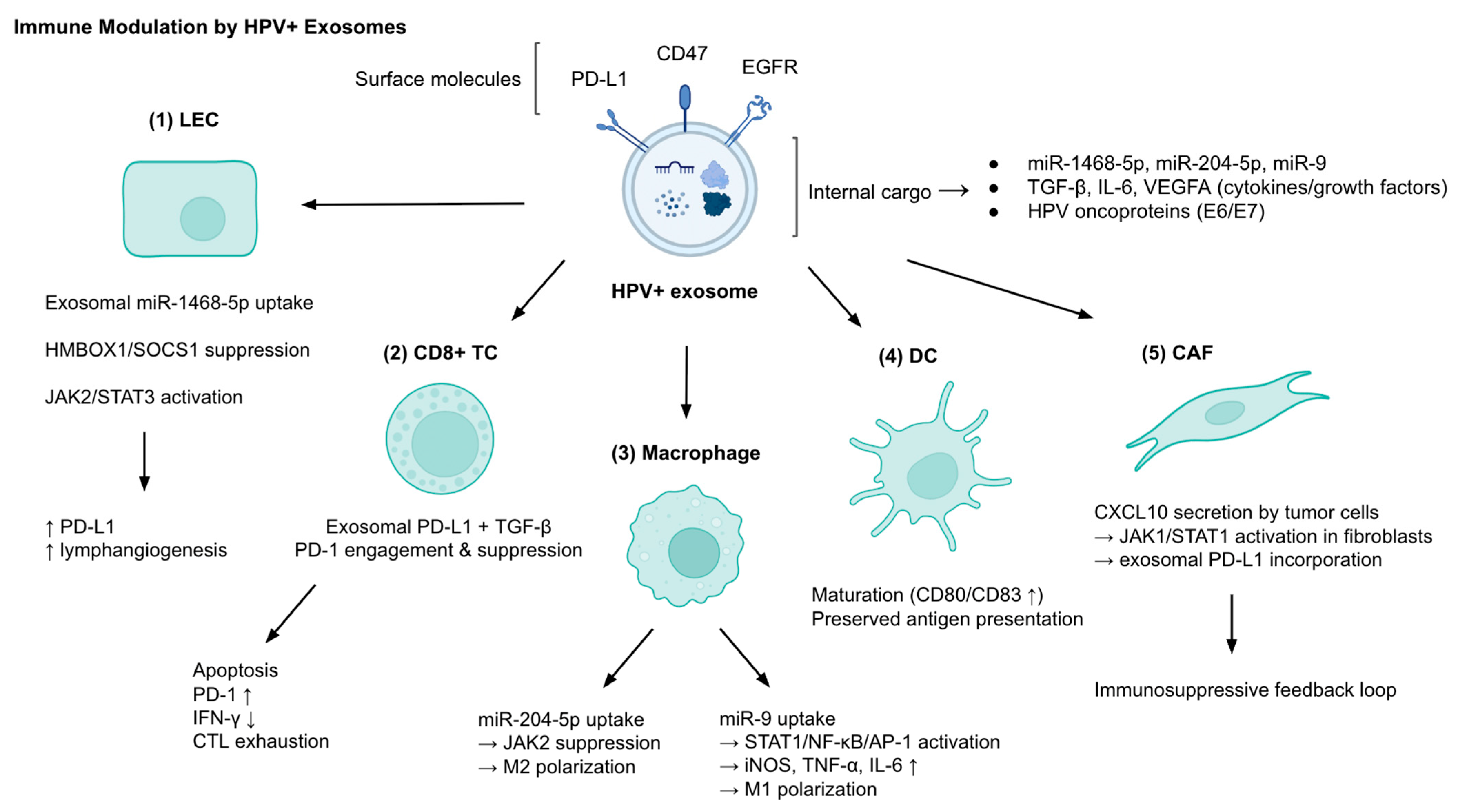 Cancers 17 03386 g001 Cancers 17 03386 g001