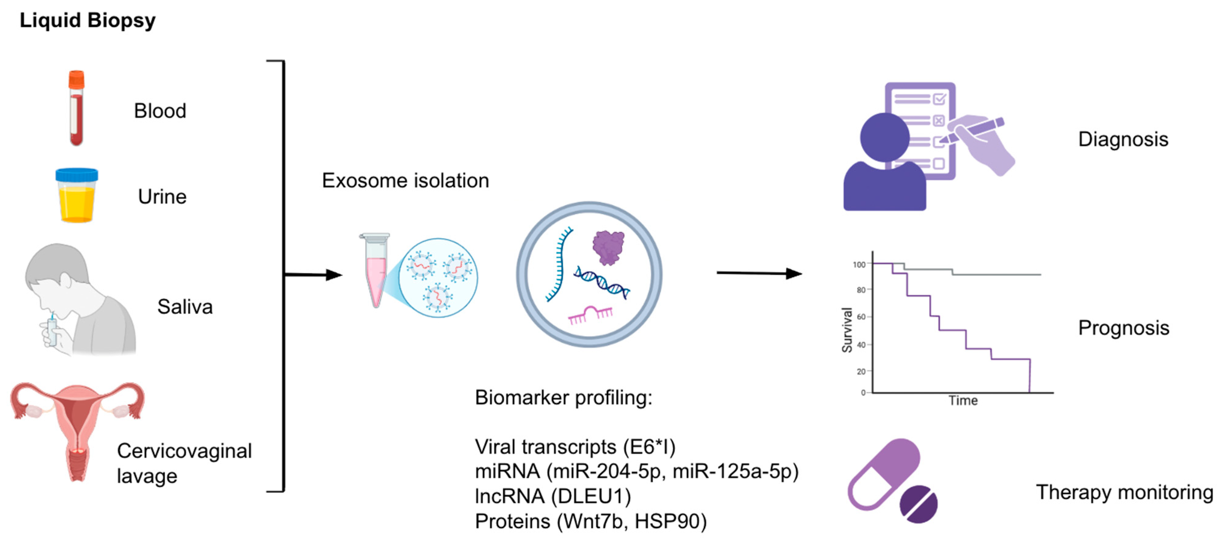 Cancers 17 03386 g004 Cancers 17 03386 g004