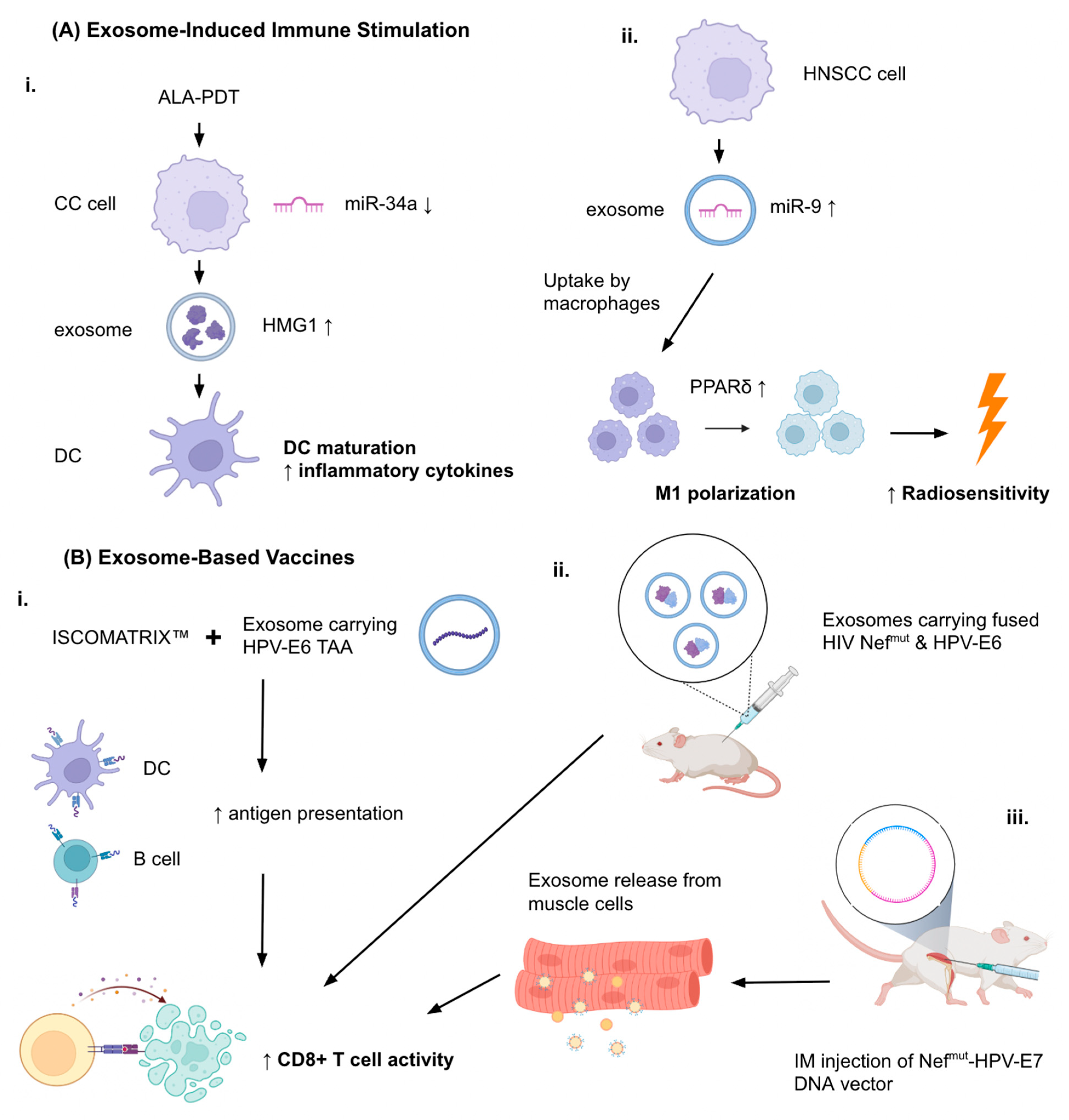 Cancers 17 03386 g005a Cancers 17 03386 g005a