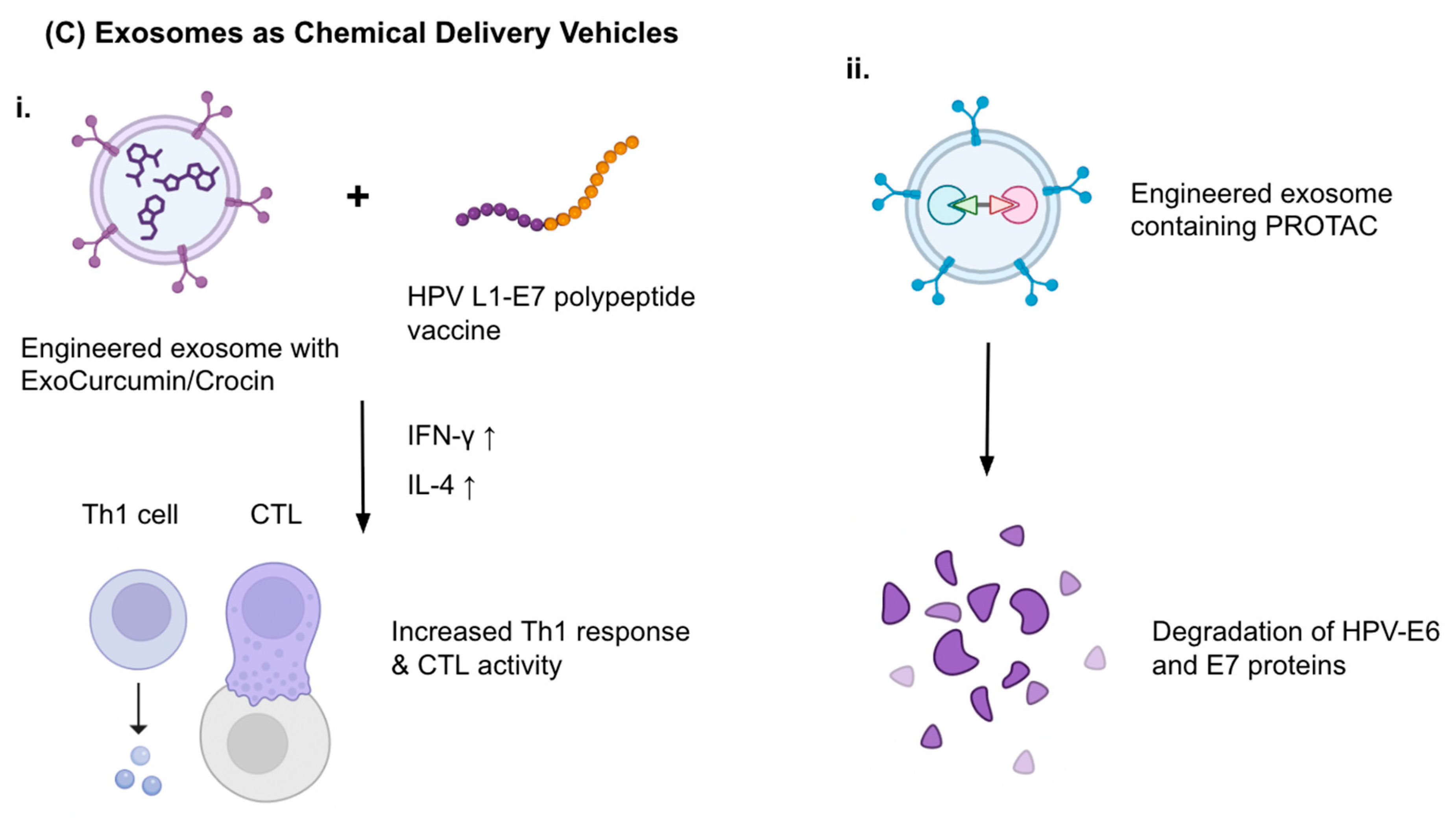 Cancers 17 03386 g005b Cancers 17 03386 g005b