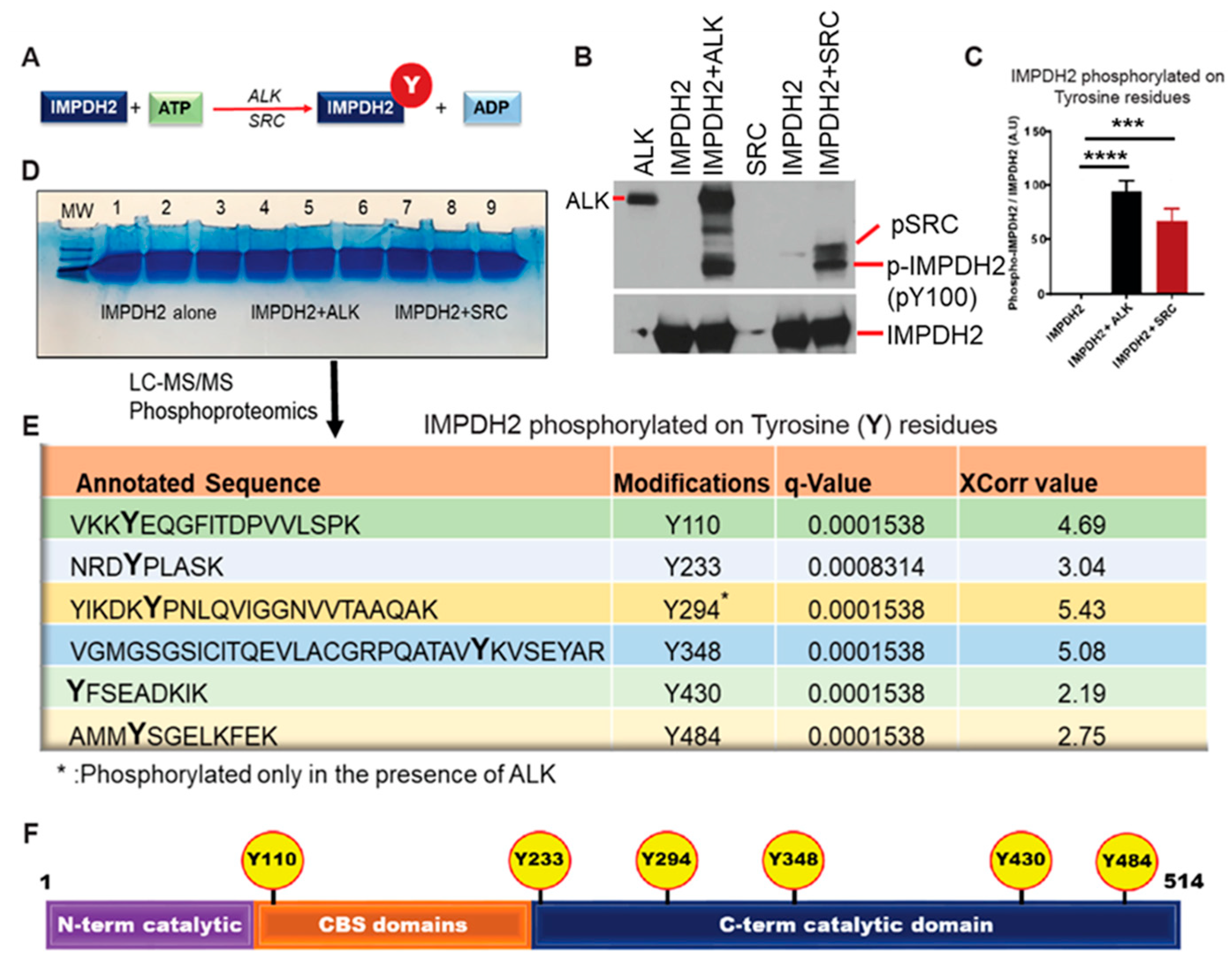 Cancers 17 03389 g001