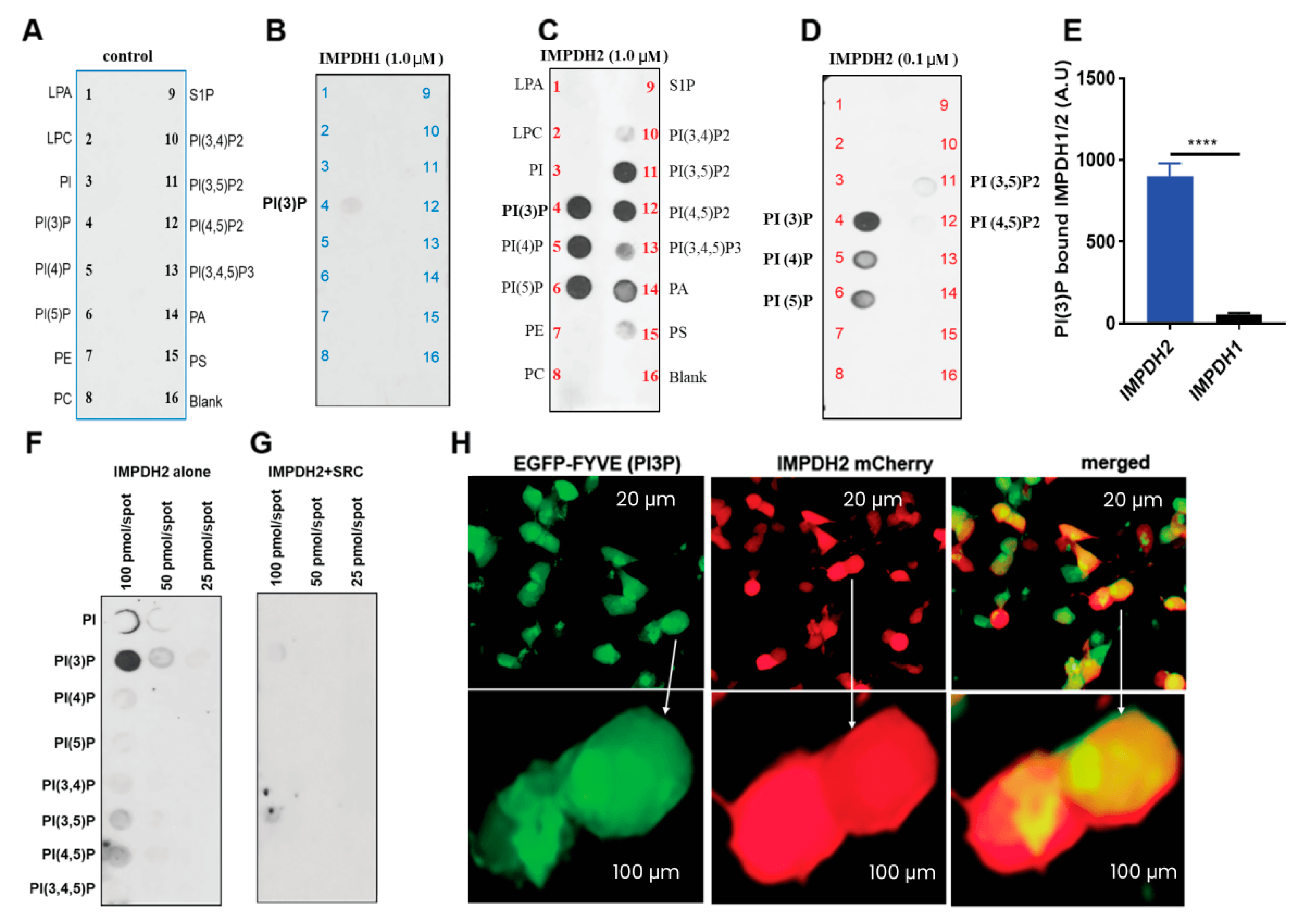 Cancers 17 03389 g002