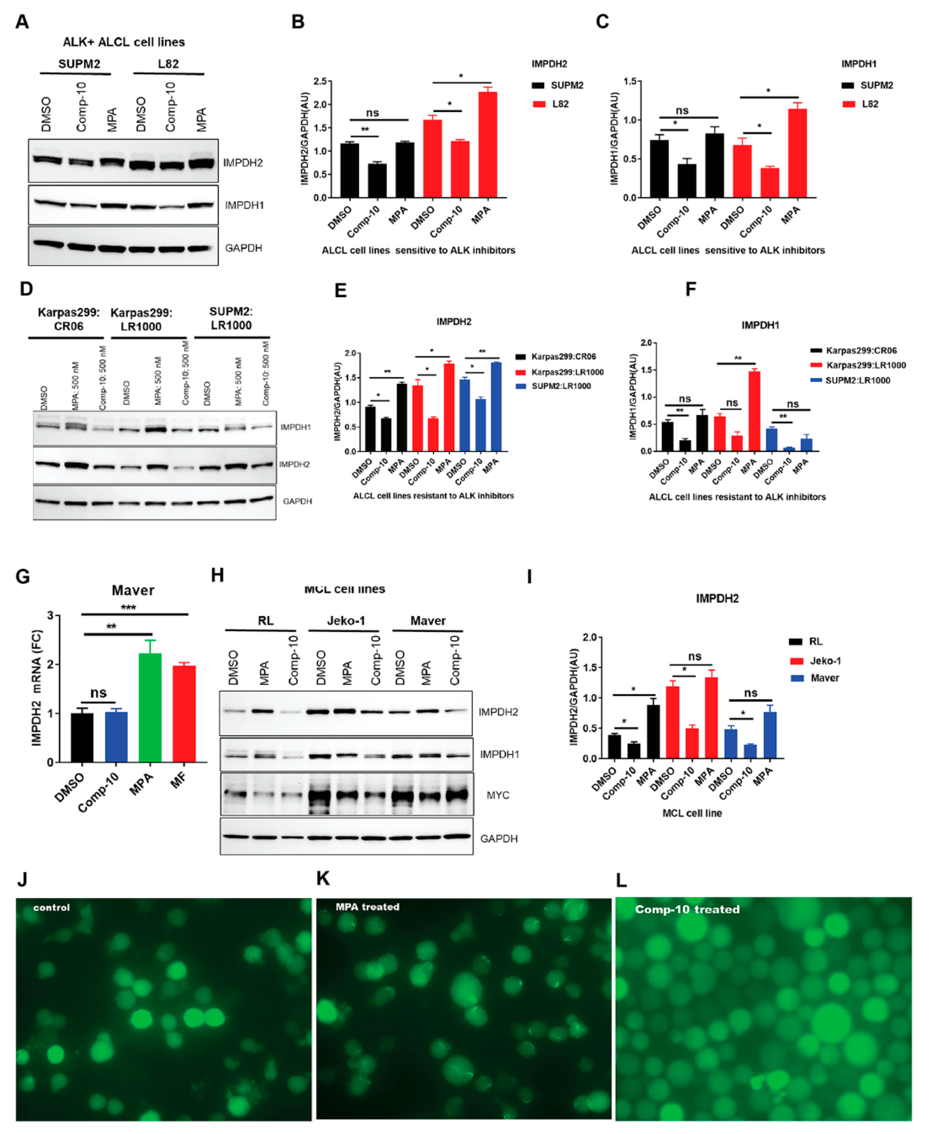Cancers 17 03389 g005