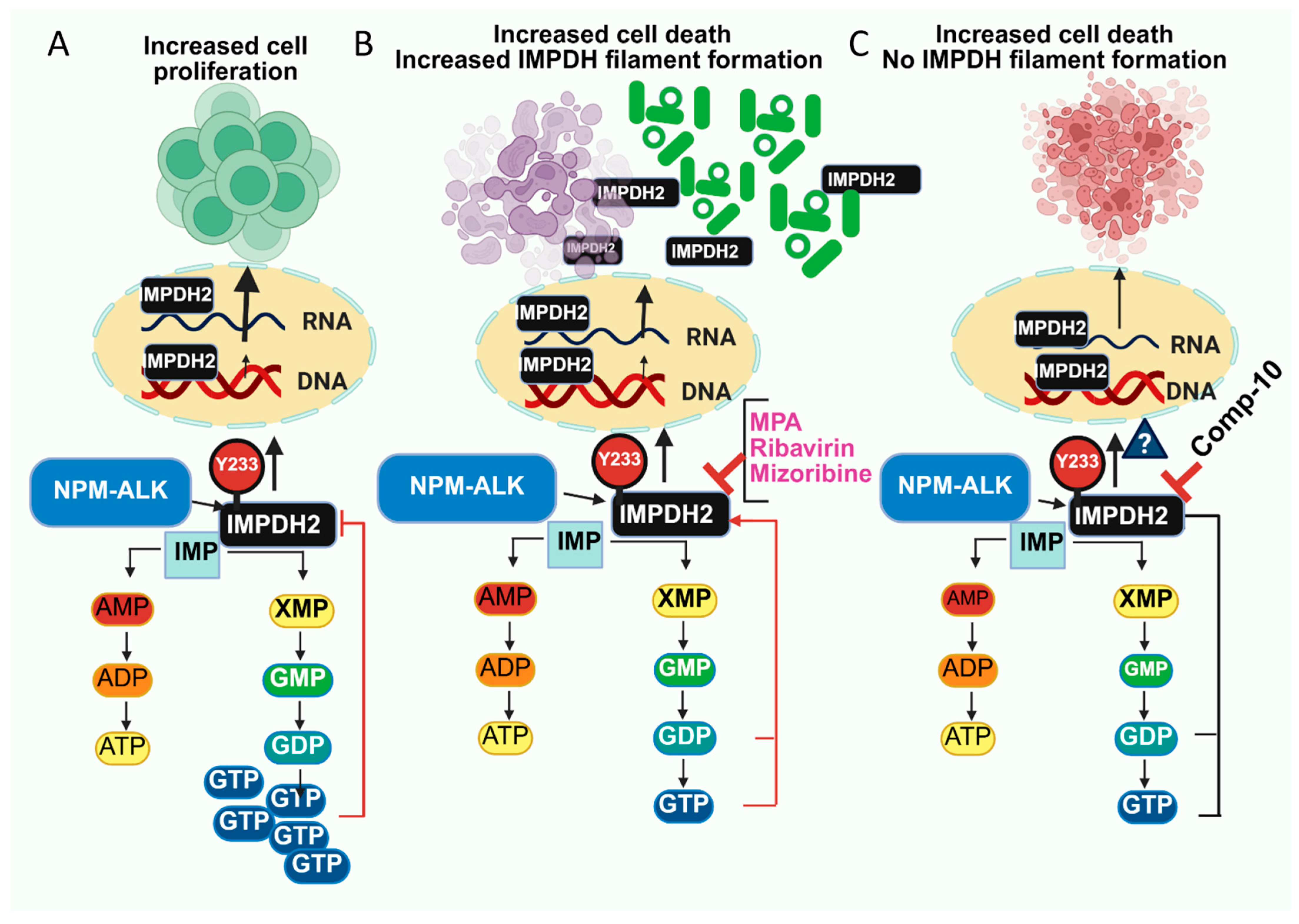 Cancers 17 03389 g007