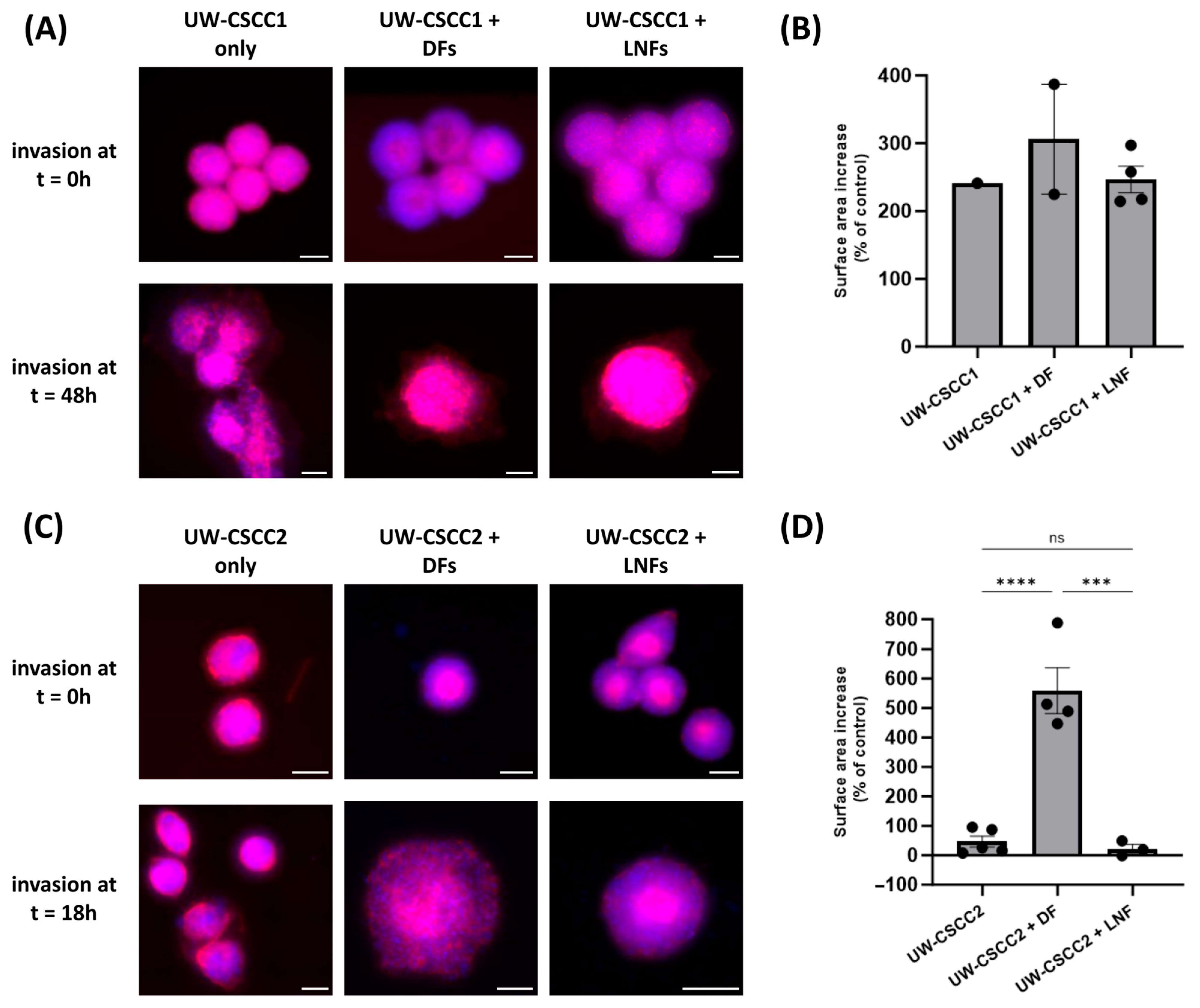 Cancers 17 03399 g004 Cancers 17 03399 g004
