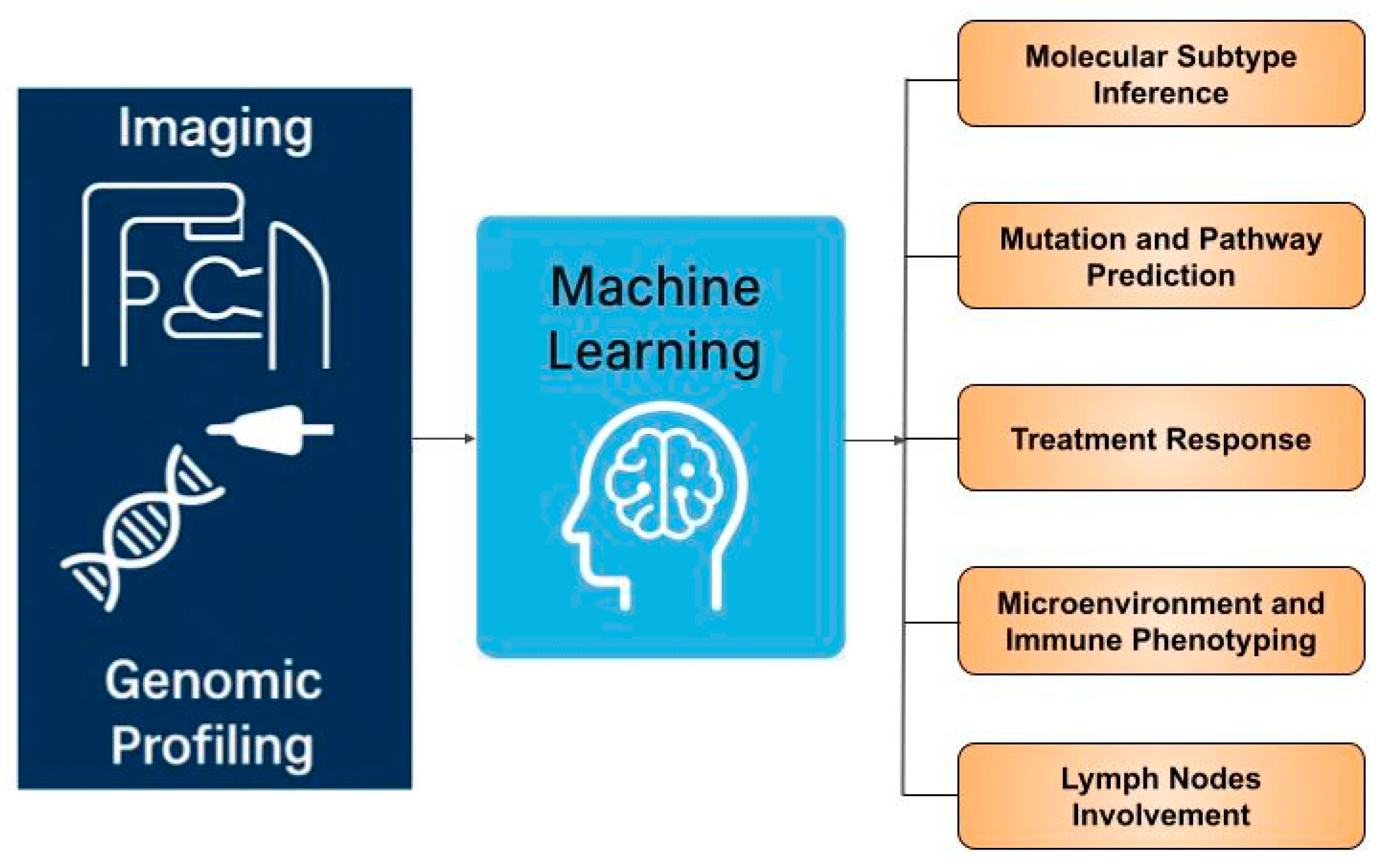 Cancers 17 03408 g001 Cancers 17 03408 g001