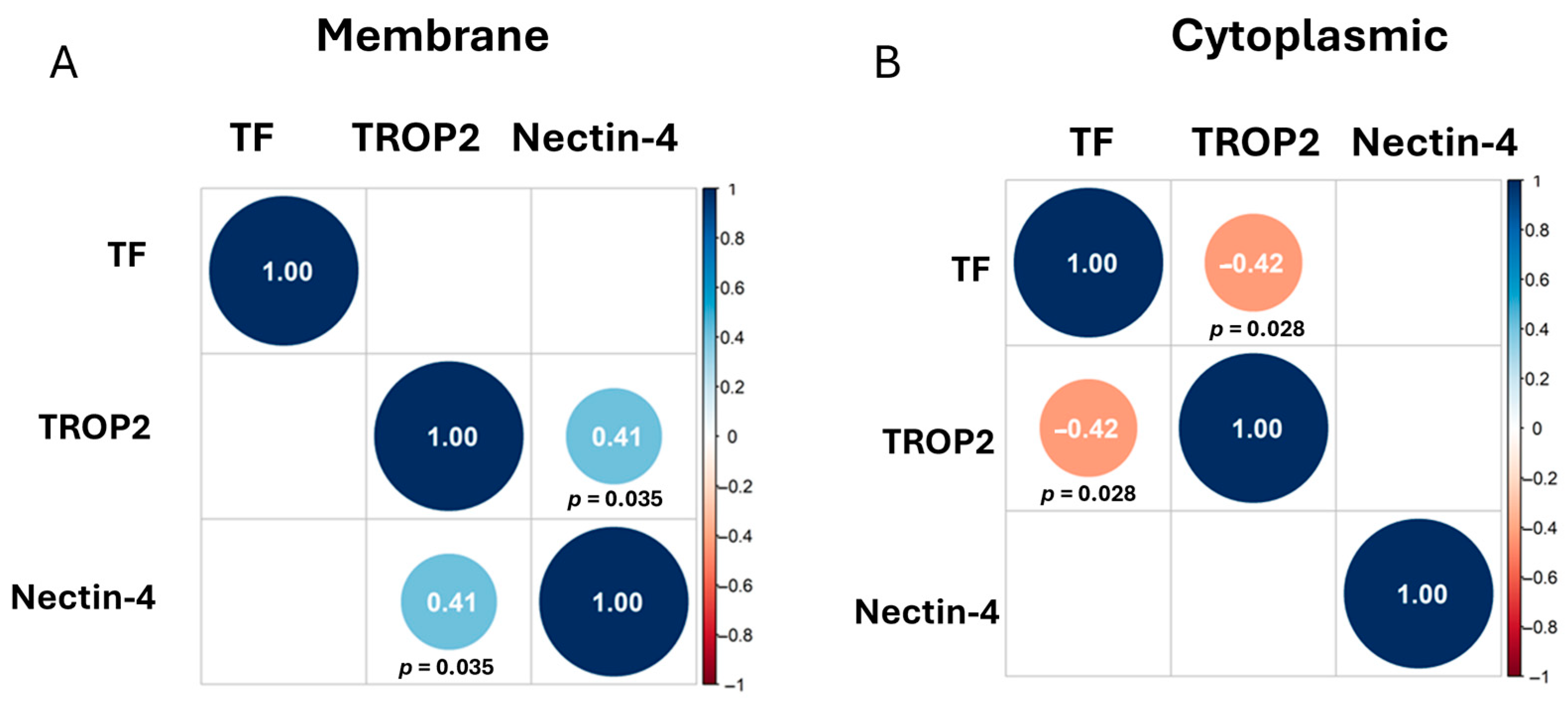 Cancers 17 03410 g002