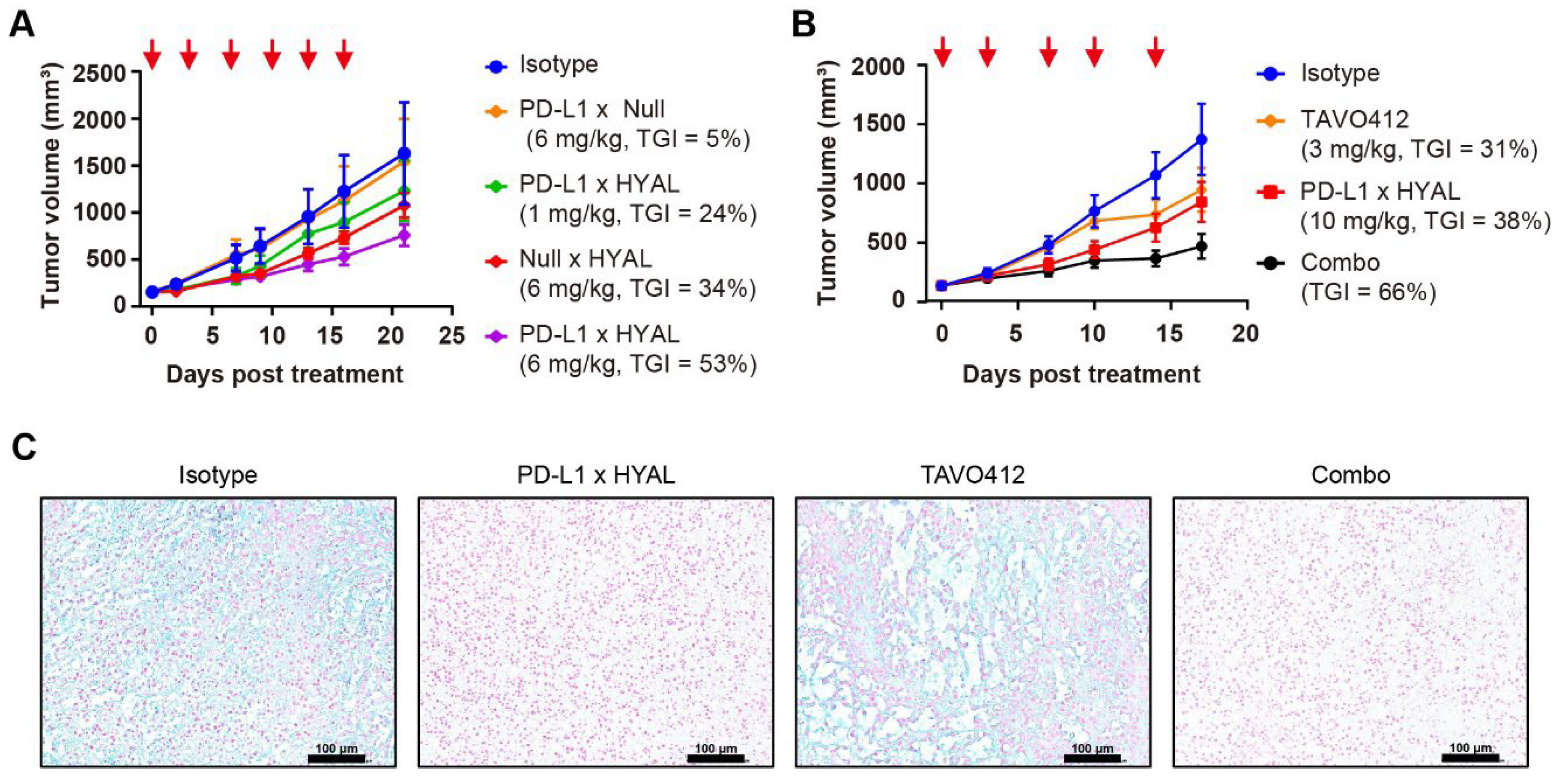 Cancers 17 03411 g003