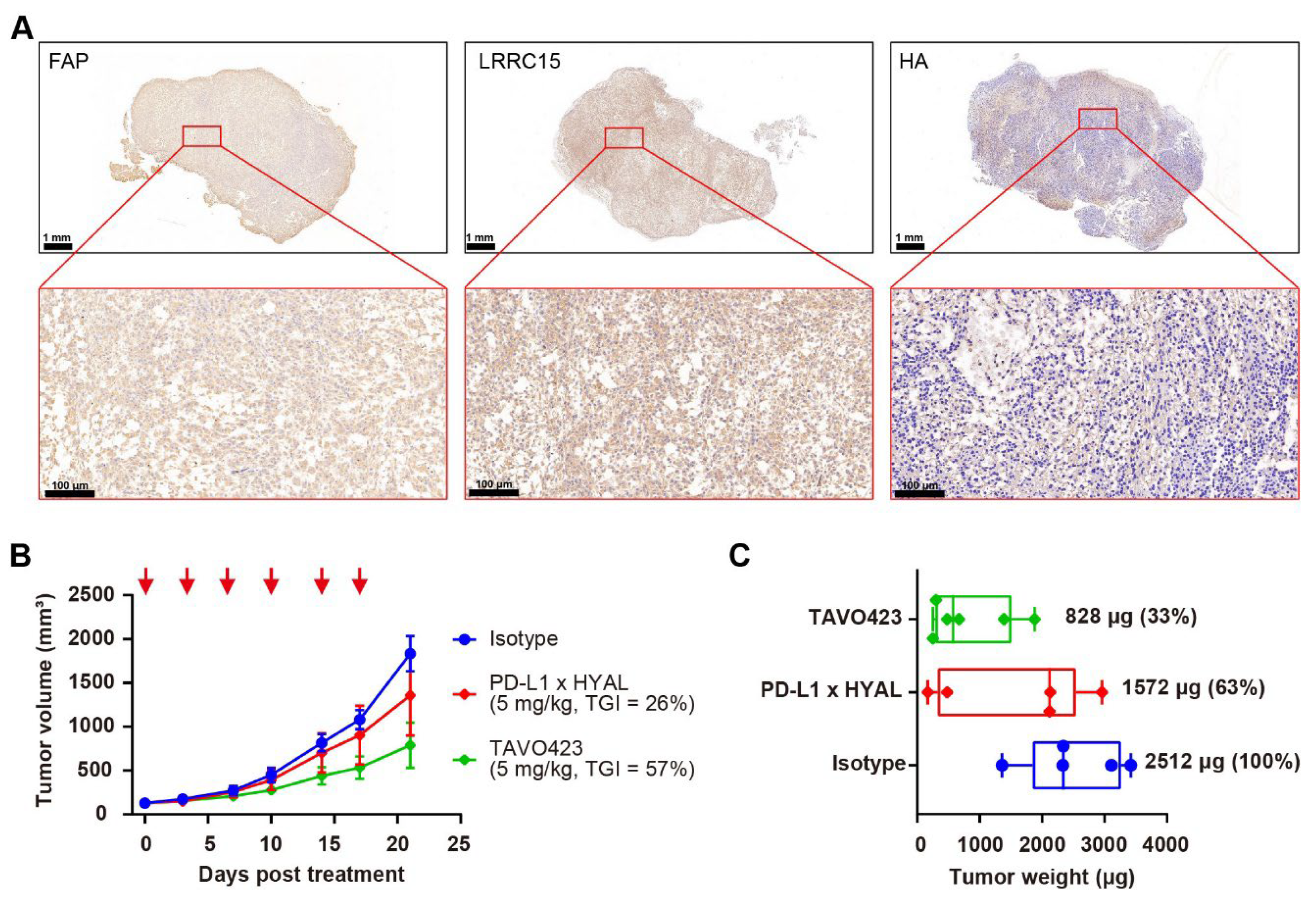 Cancers 17 03411 g004