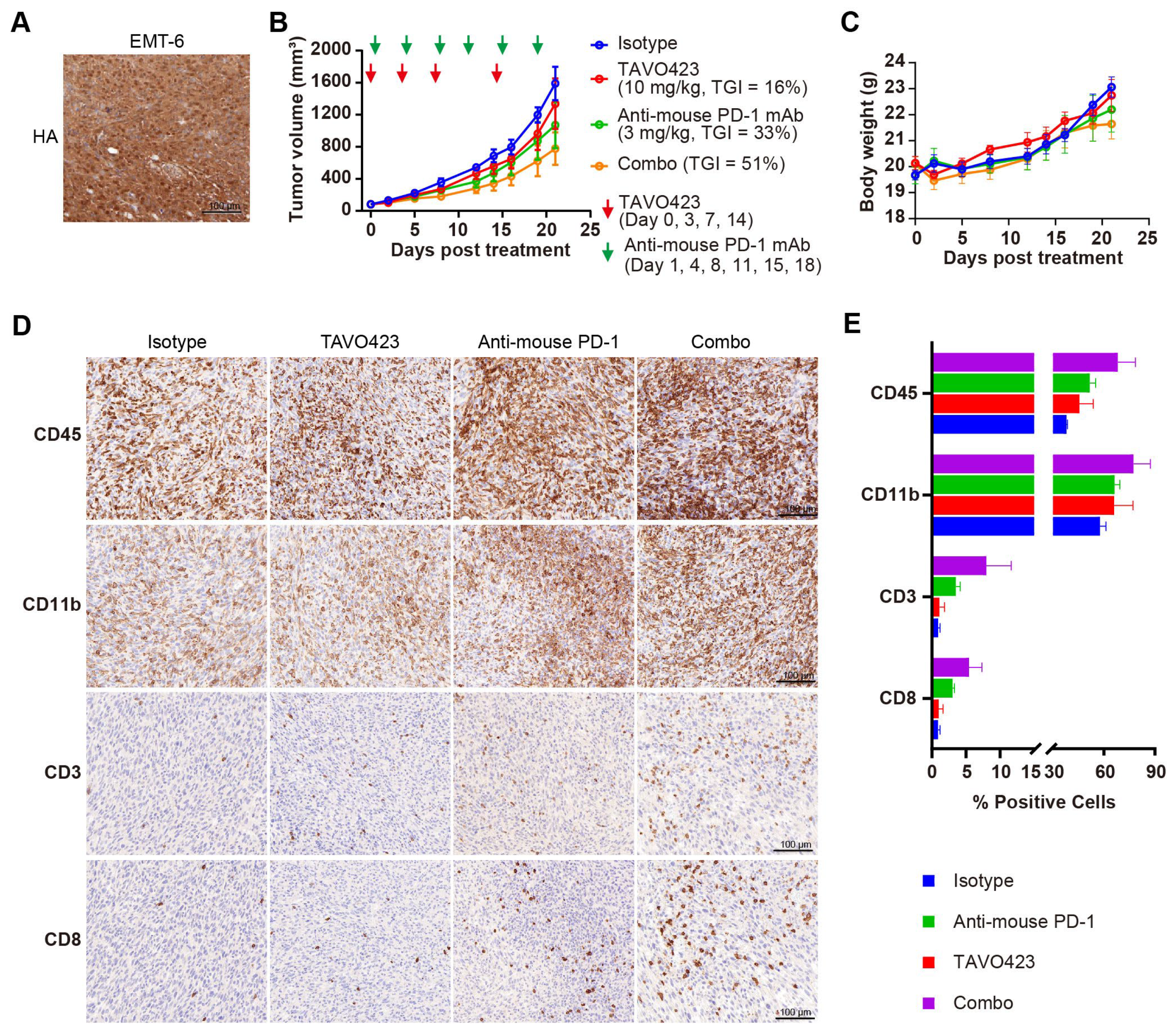 Cancers 17 03411 g006