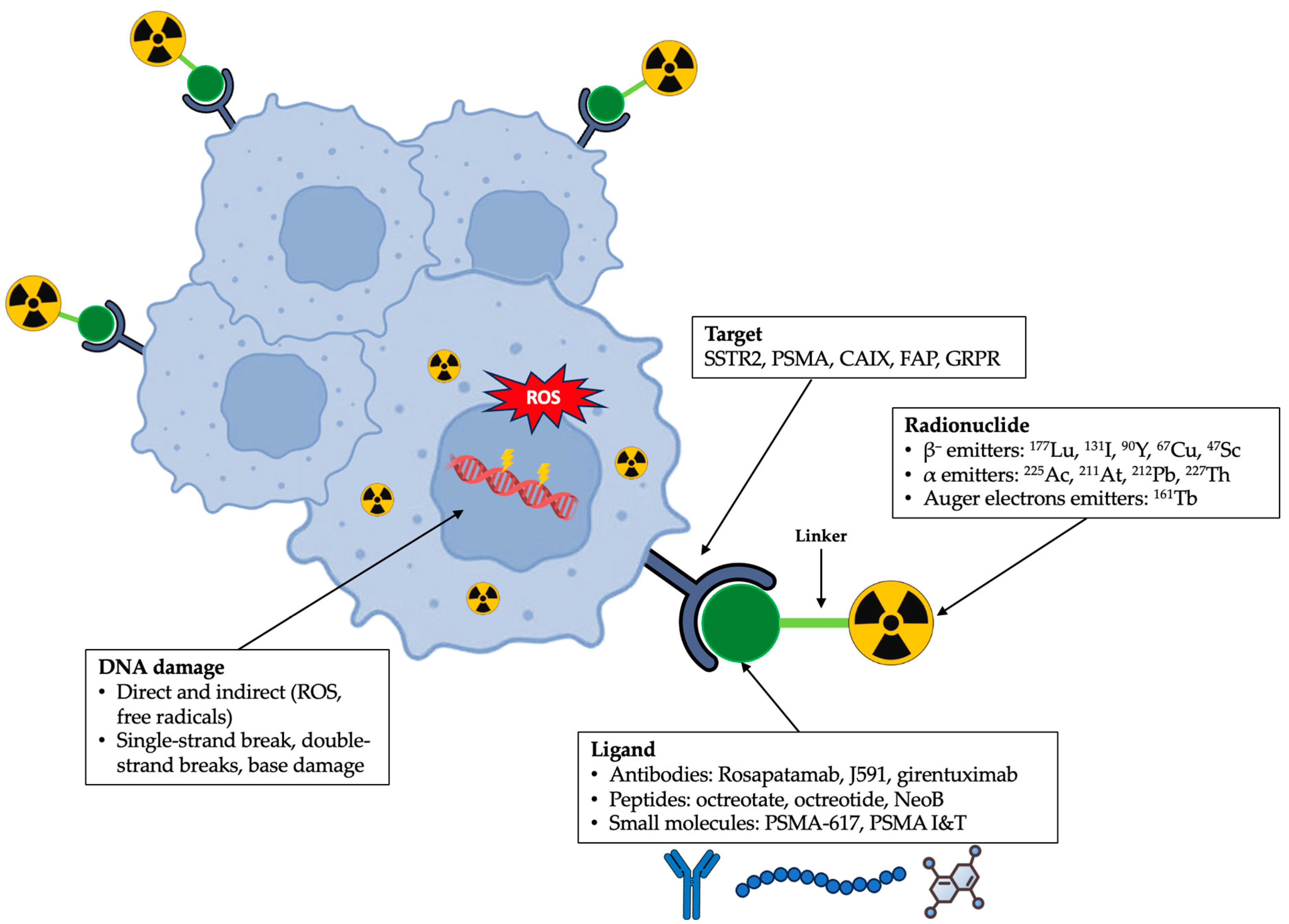 Cancers 17 03412 g001 Cancers 17 03412 g001