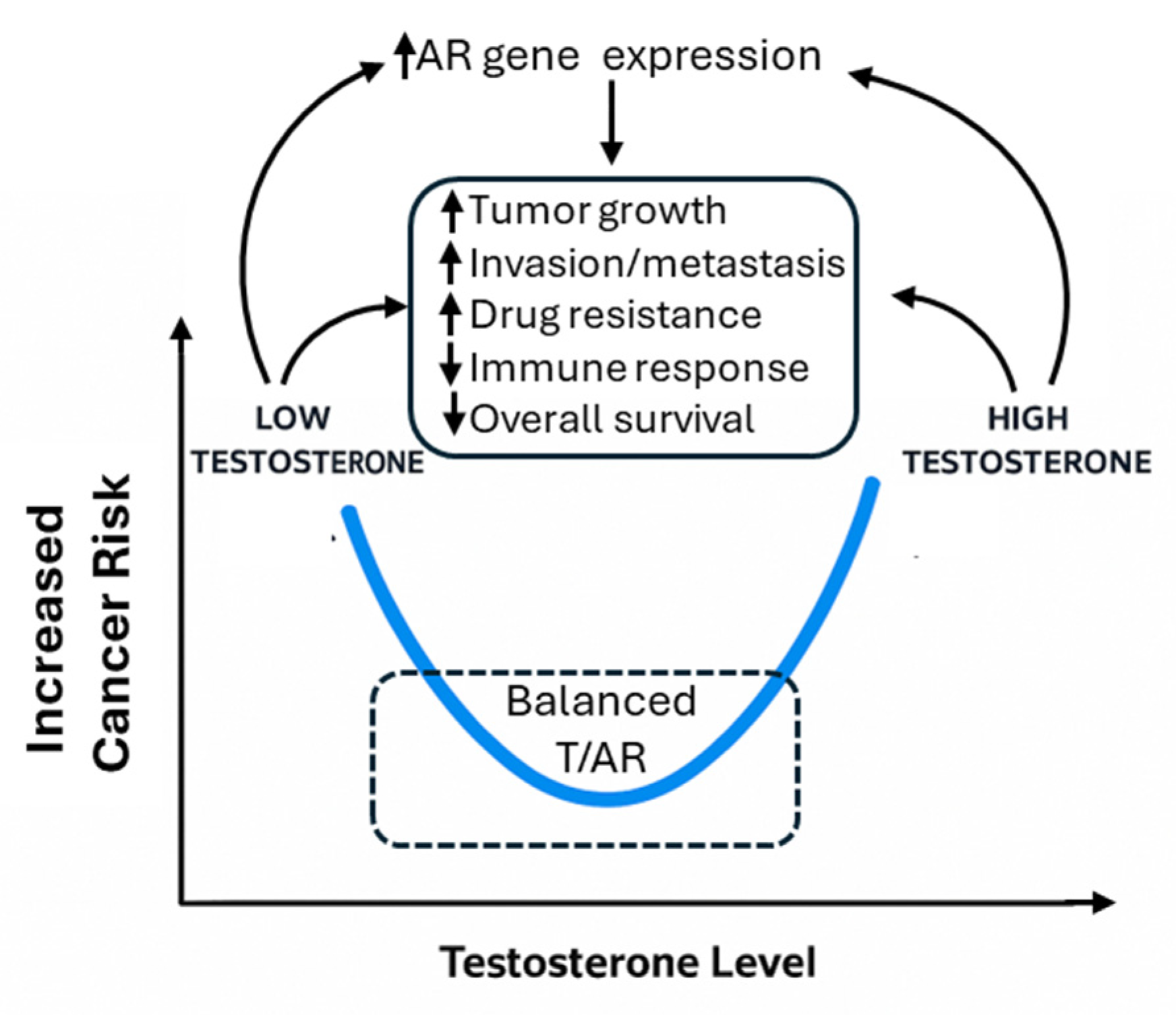 Cancers 17 03414 g001