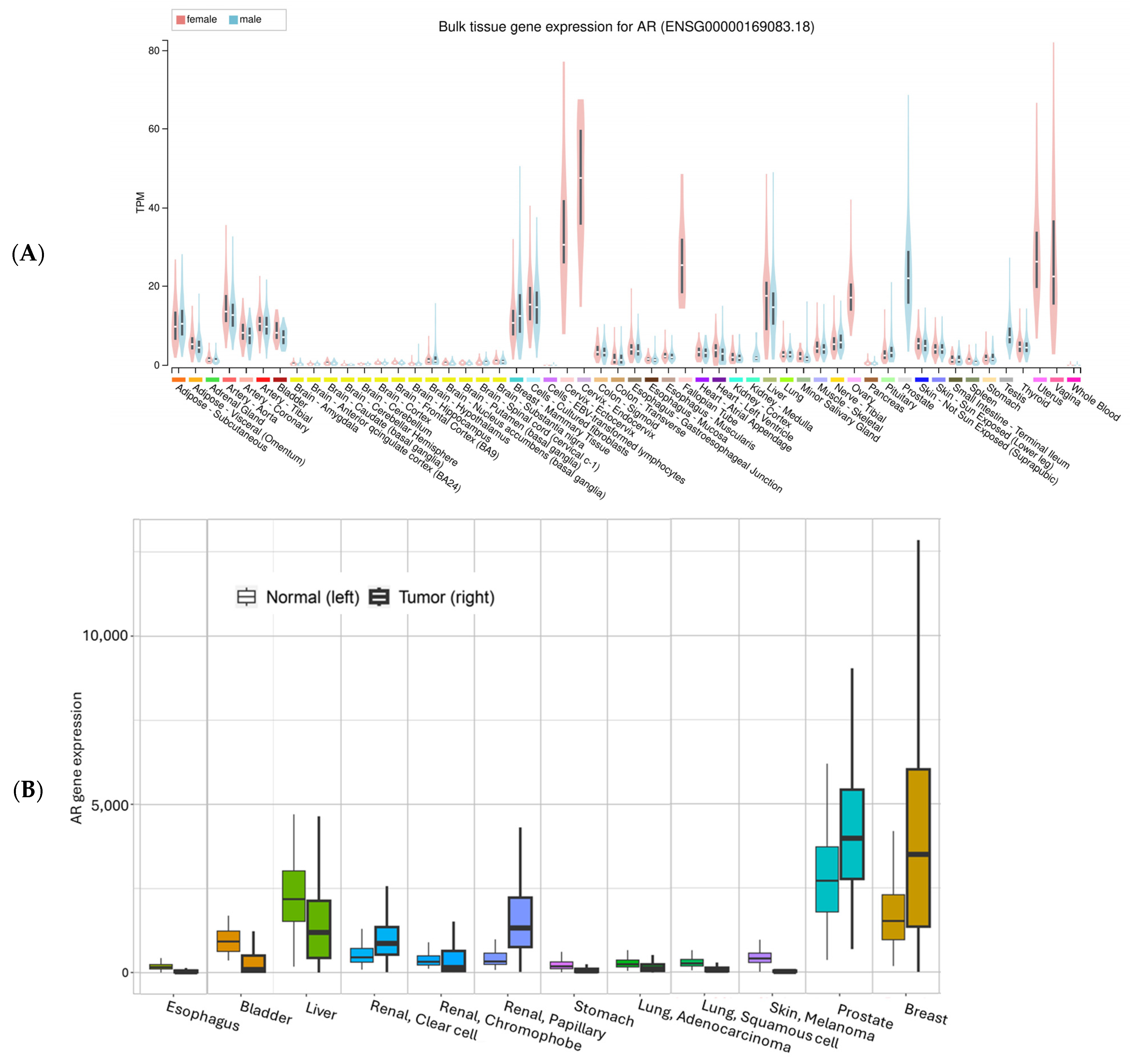 Cancers 17 03414 g003