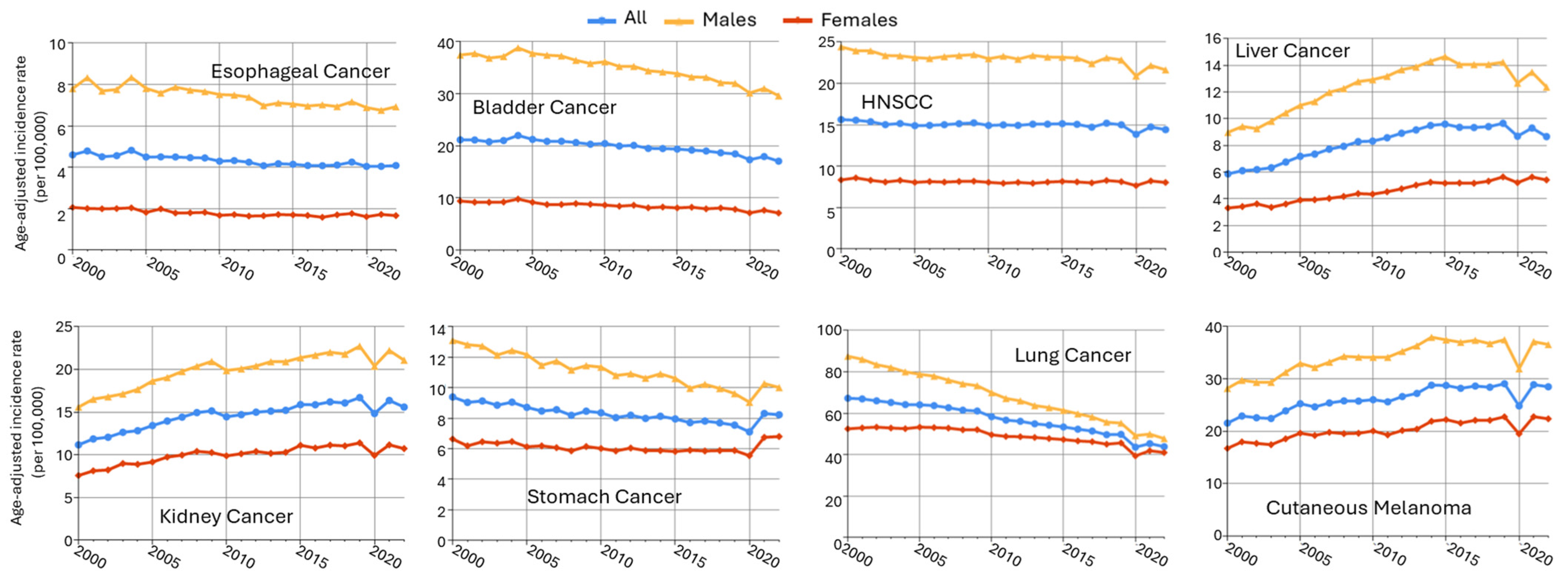 Cancers 17 03414 g004