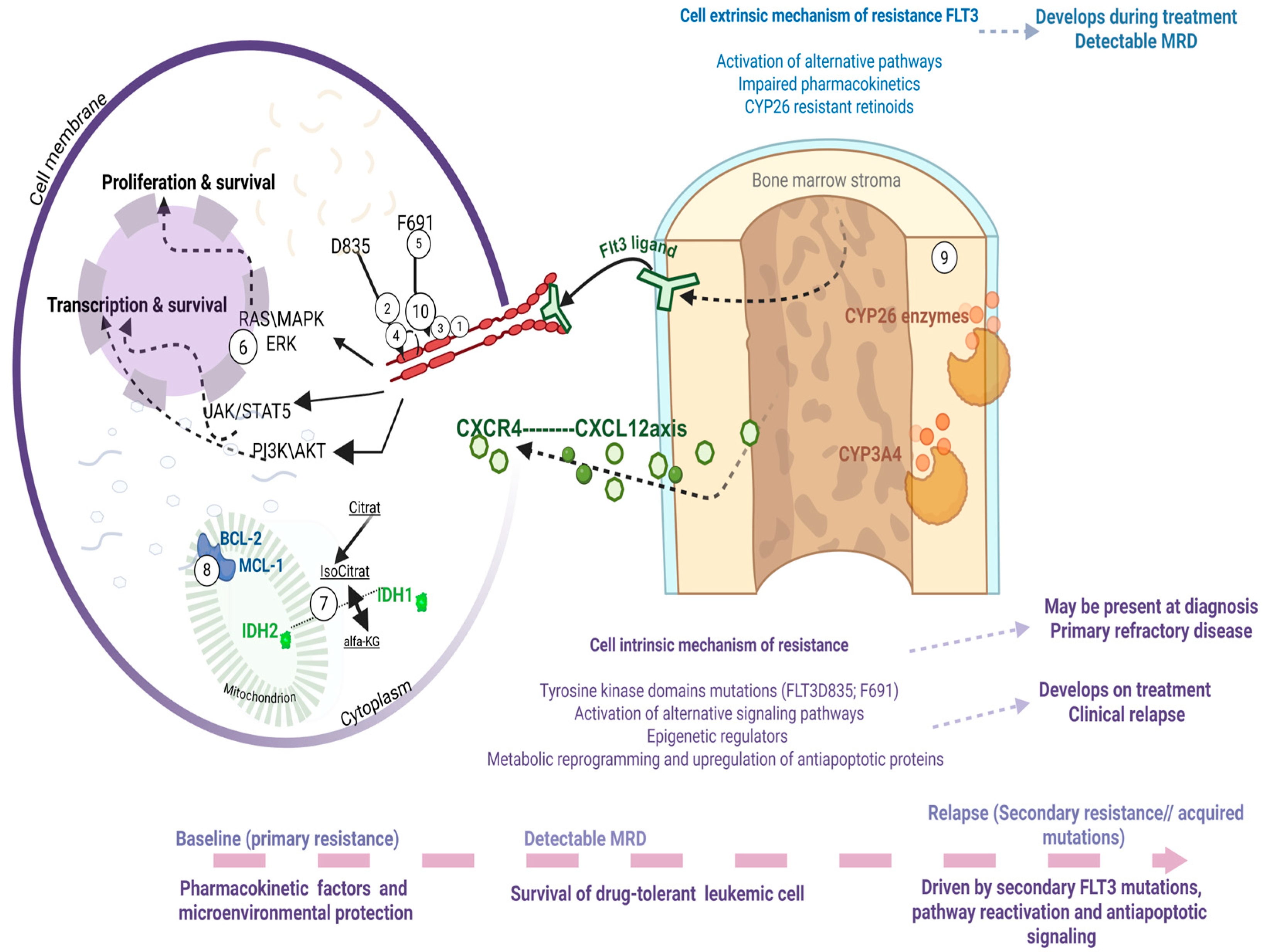Cancers 17 03415 g002 Cancers 17 03415 g002