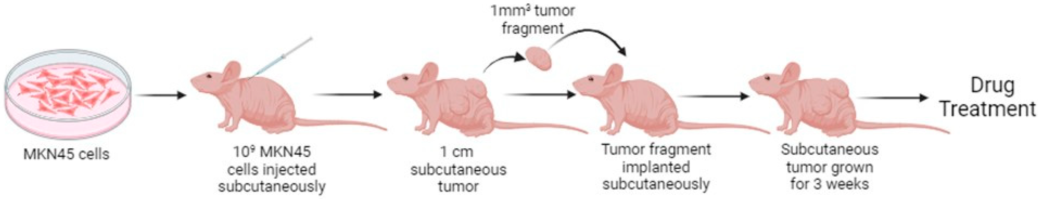 Cancers 17 03420 g001 Cancers 17 03420 g001