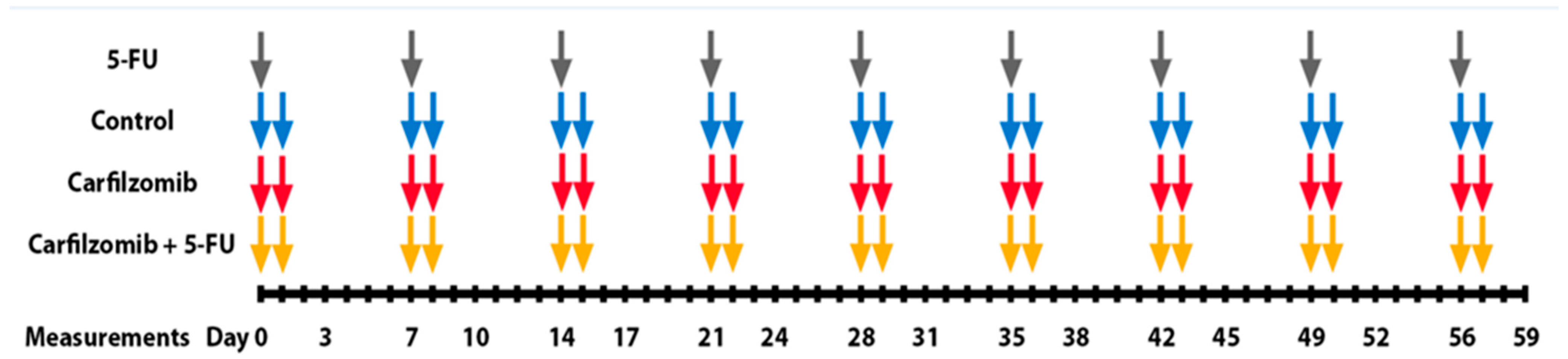 Cancers 17 03420 g002 Cancers 17 03420 g002