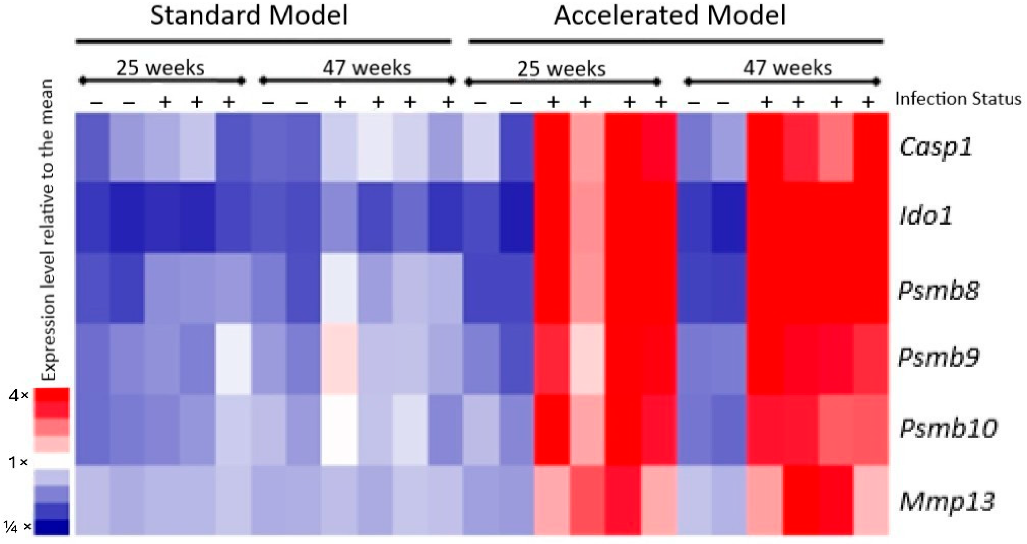Cancers 17 03420 g003 Cancers 17 03420 g003