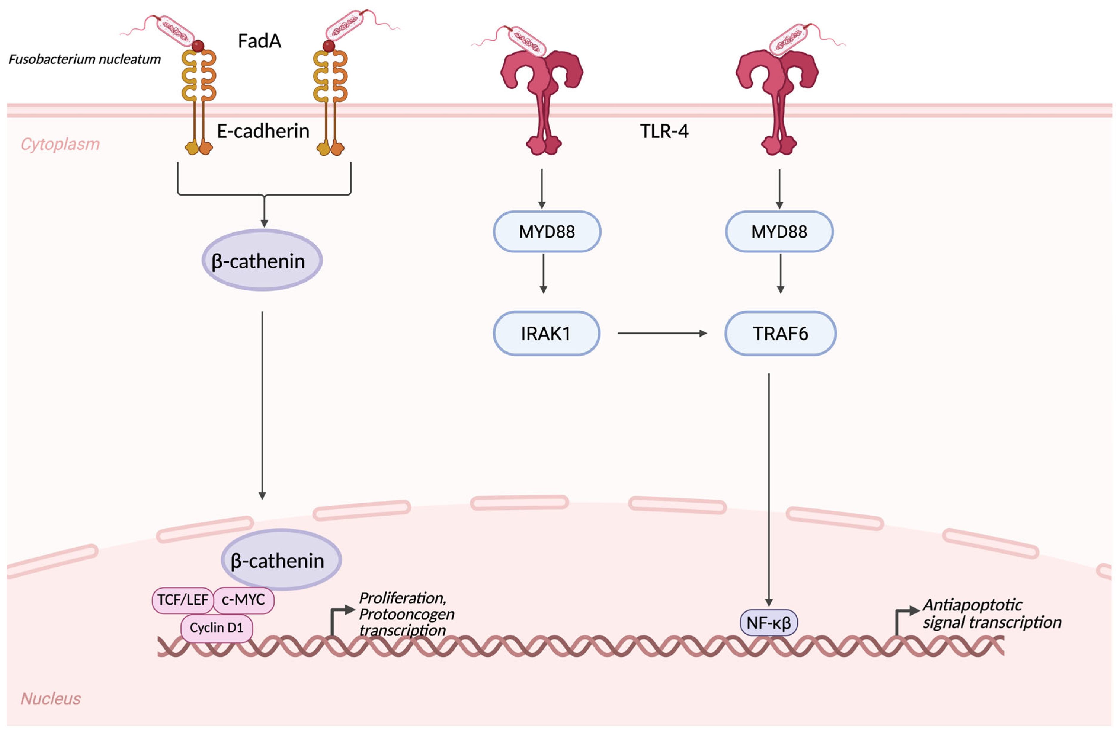 Cancers 17 03426 g002