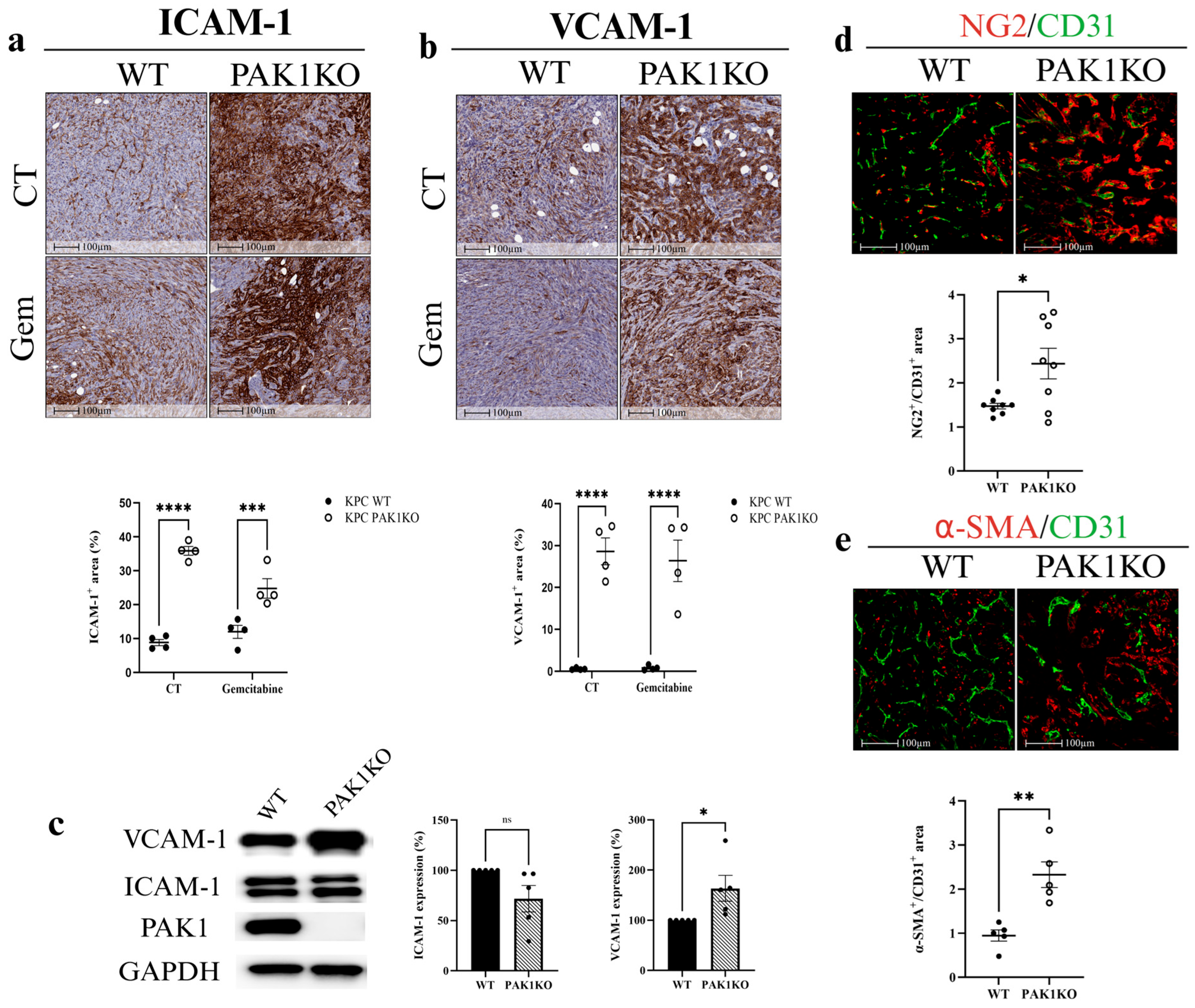 Cancers 17 03434 g002