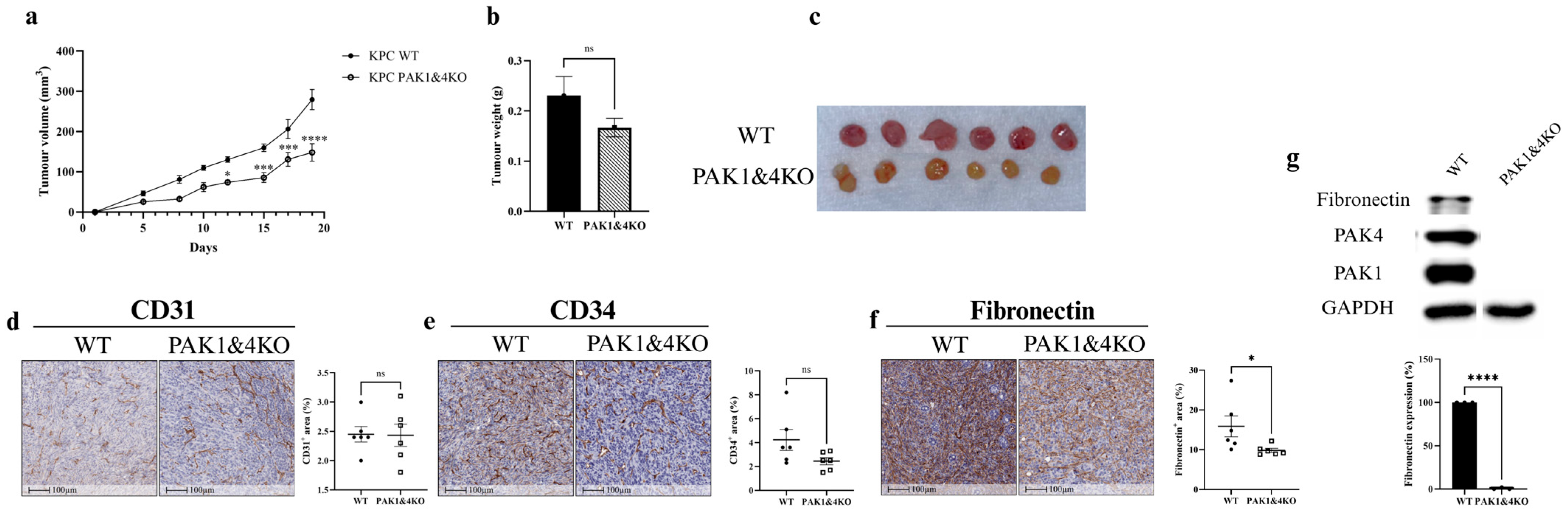 Cancers 17 03434 g005