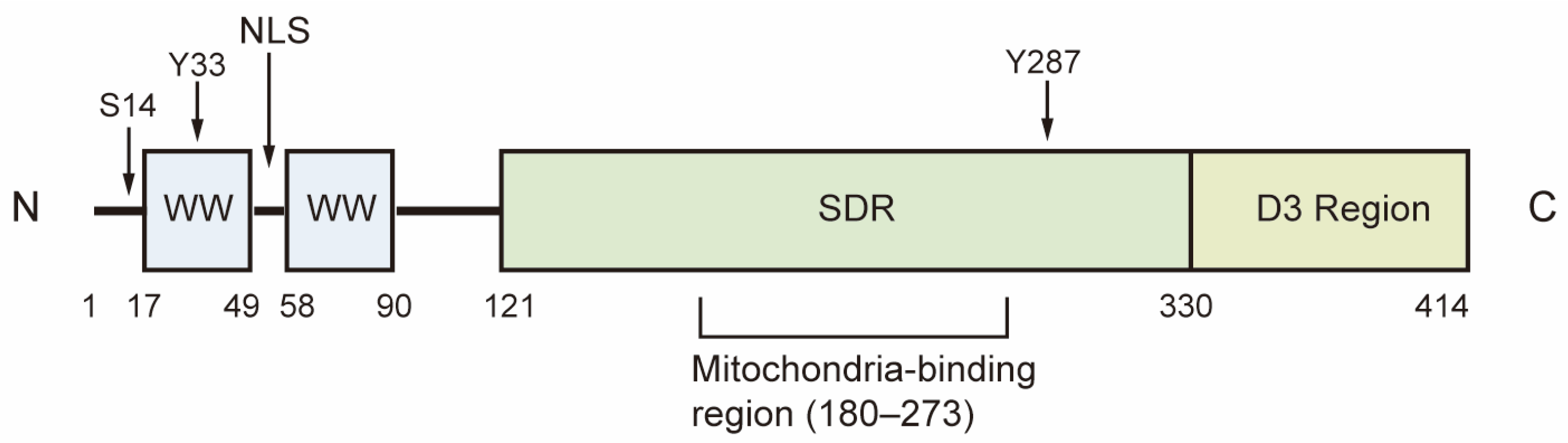 Cancers 17 03435 g001