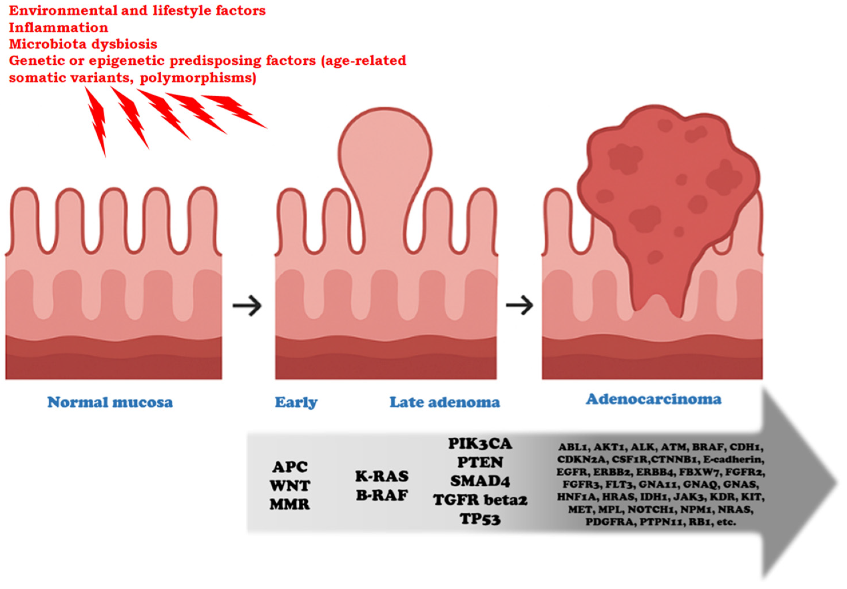 Cancers 17 03438 g001