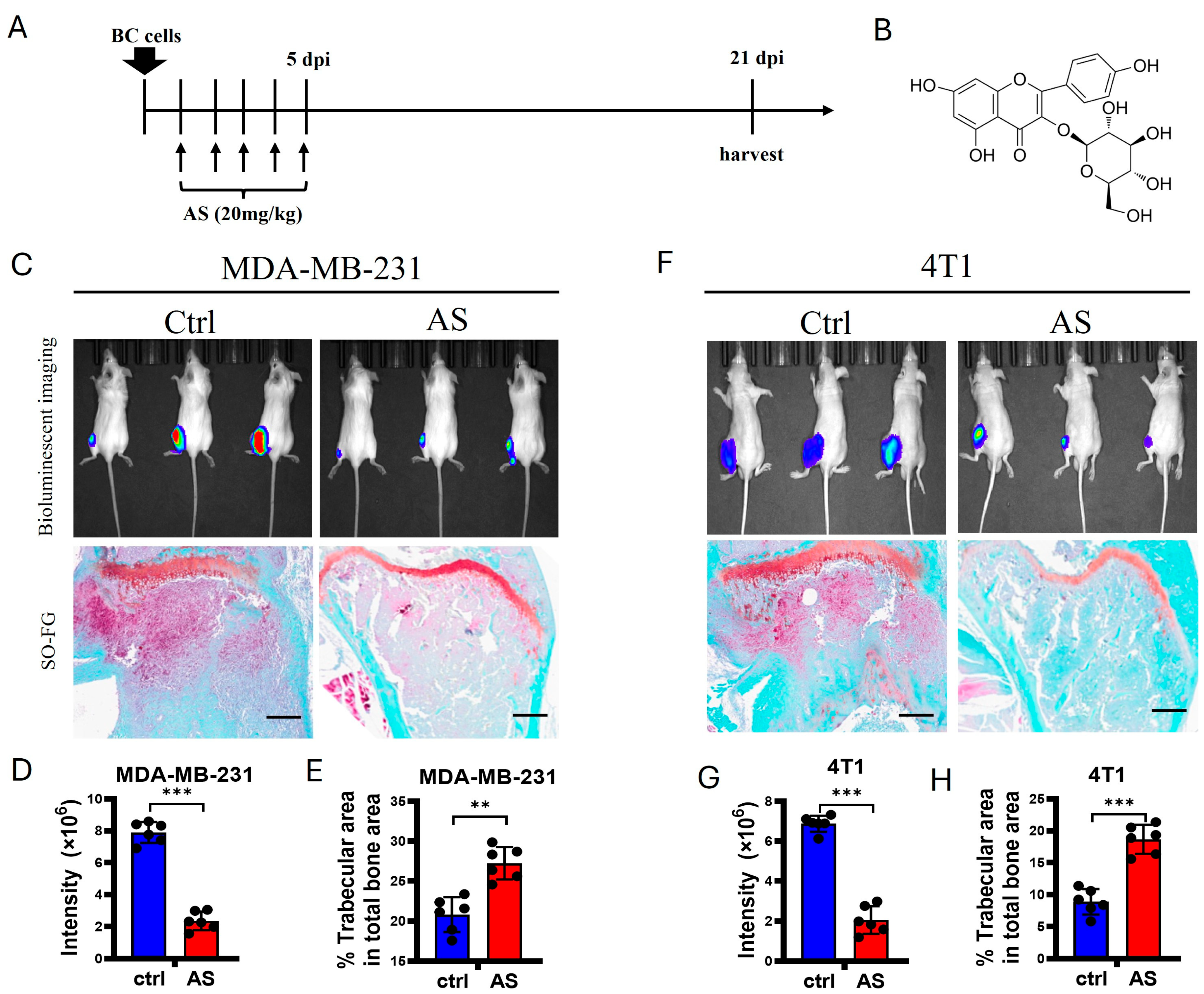 Cancers 17 03442 g001