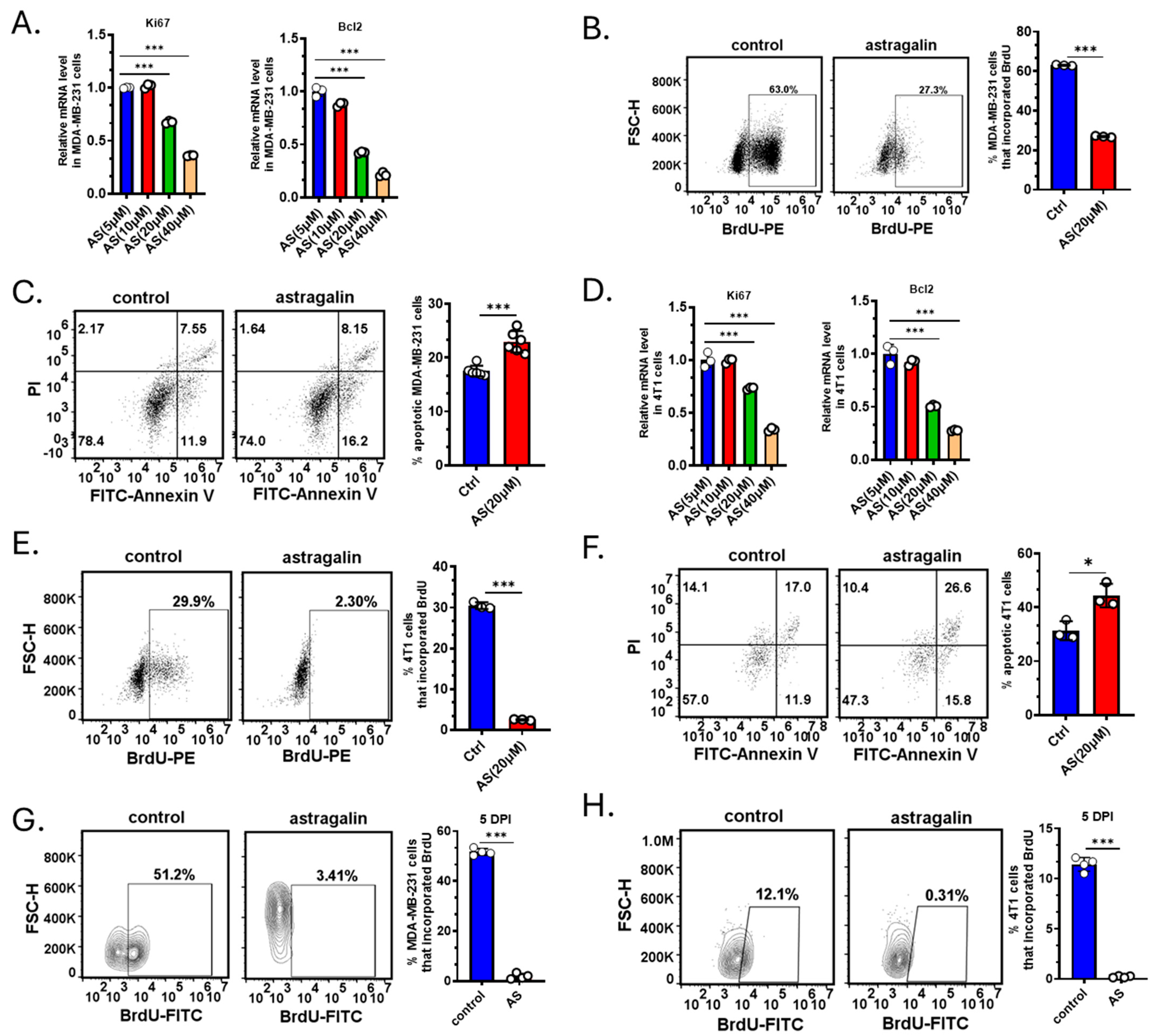 Cancers 17 03442 g002