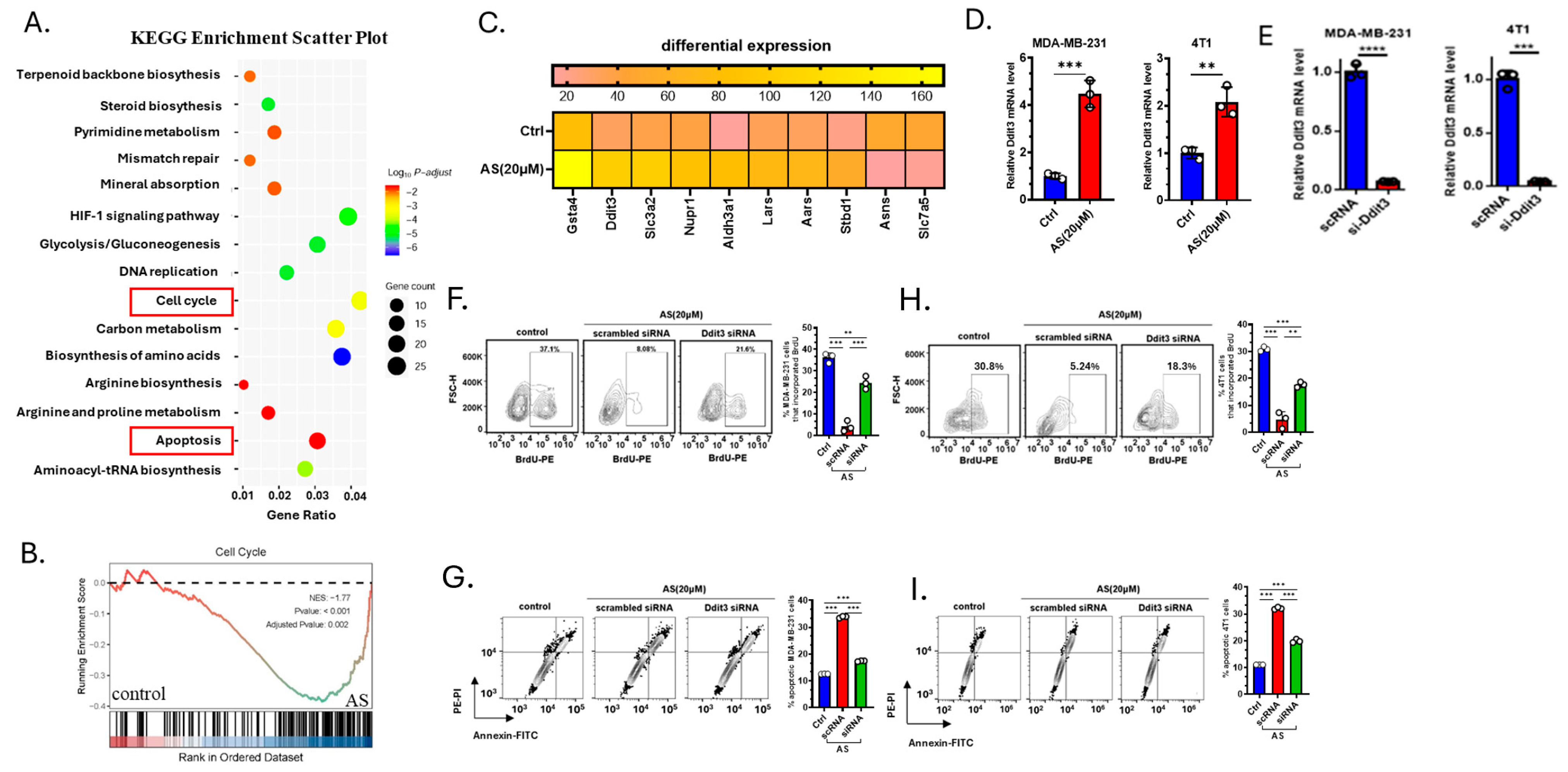 Cancers 17 03442 g003