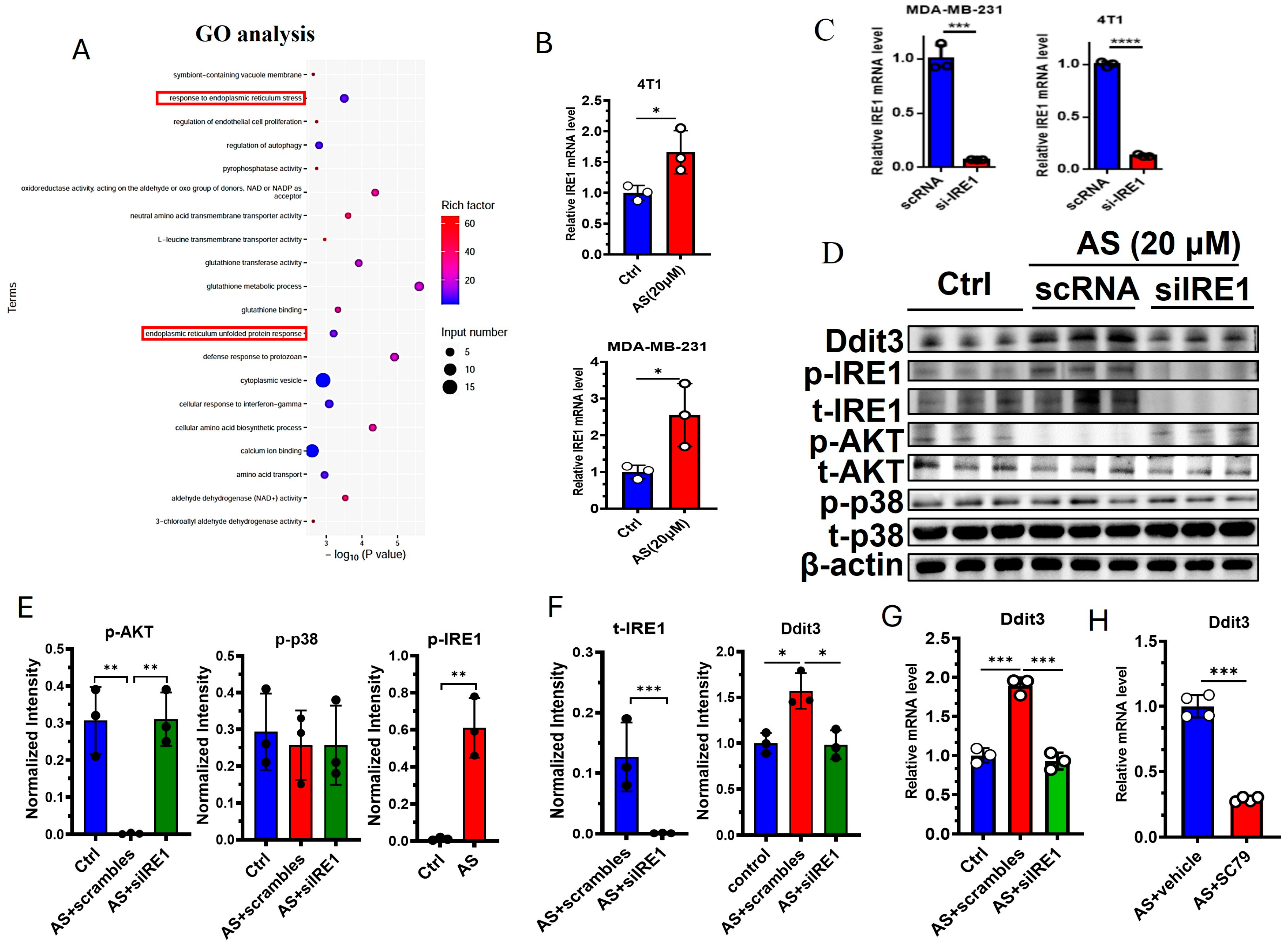 Cancers 17 03442 g004