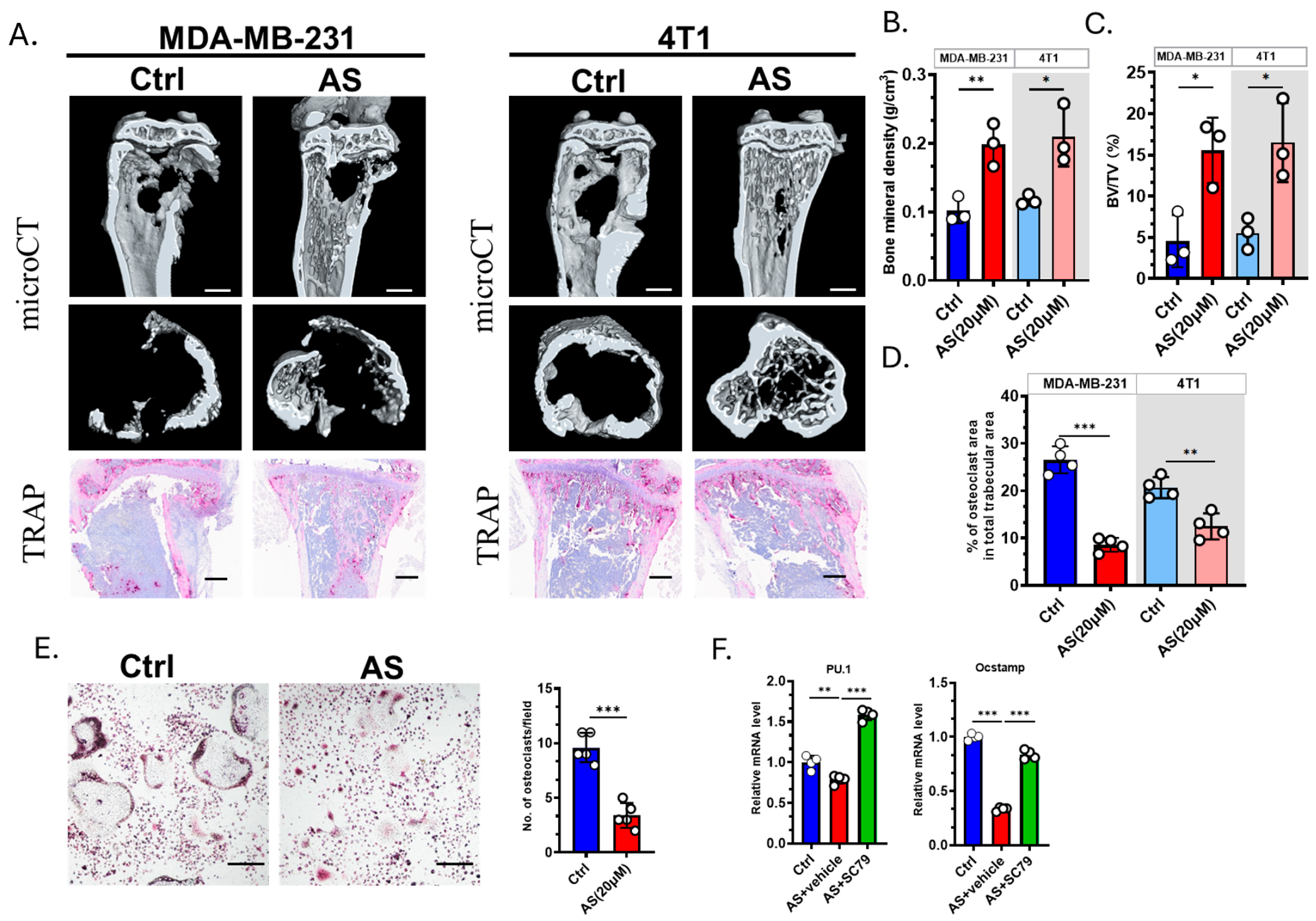 Cancers 17 03442 g005
