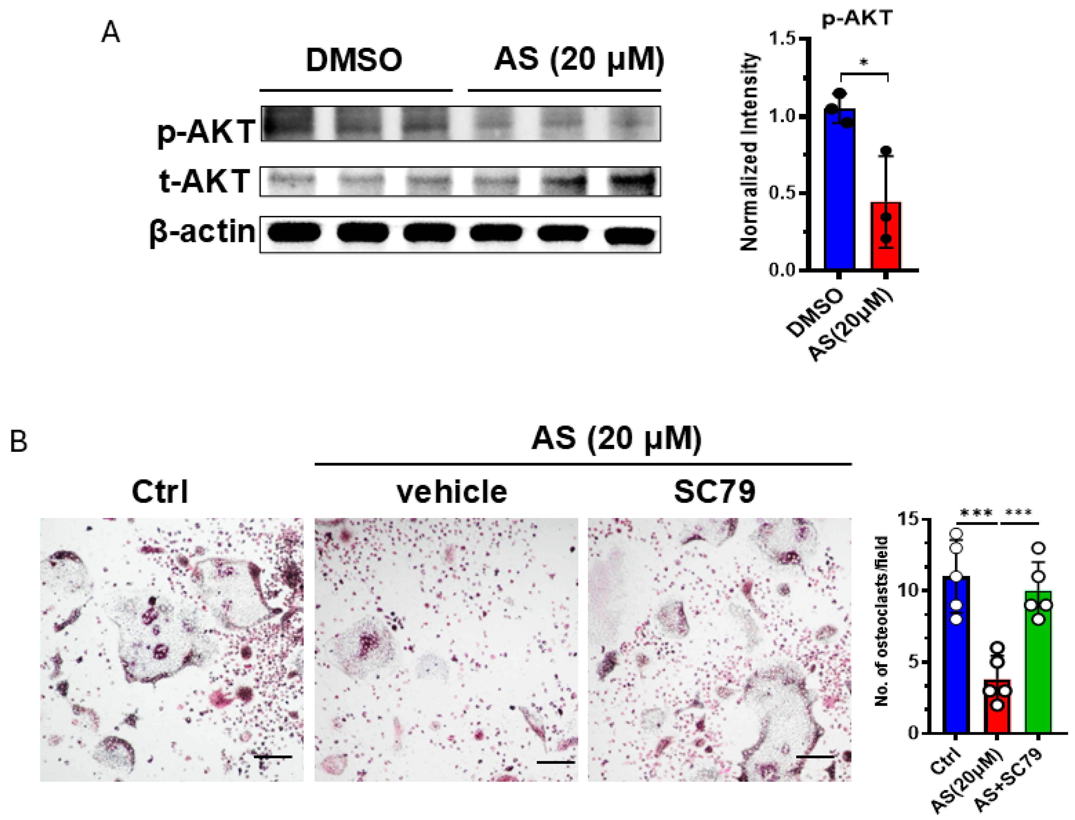 Cancers 17 03442 g006