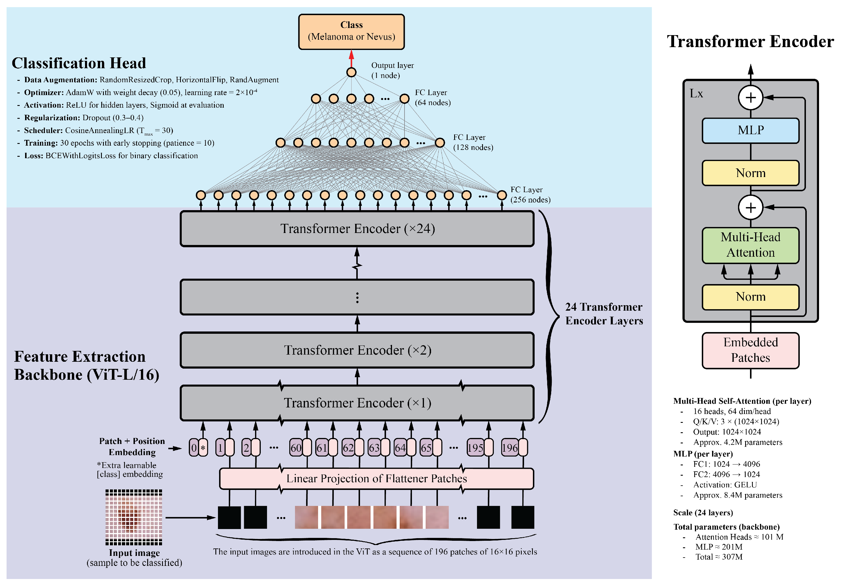 Cancers 17 03447 g001