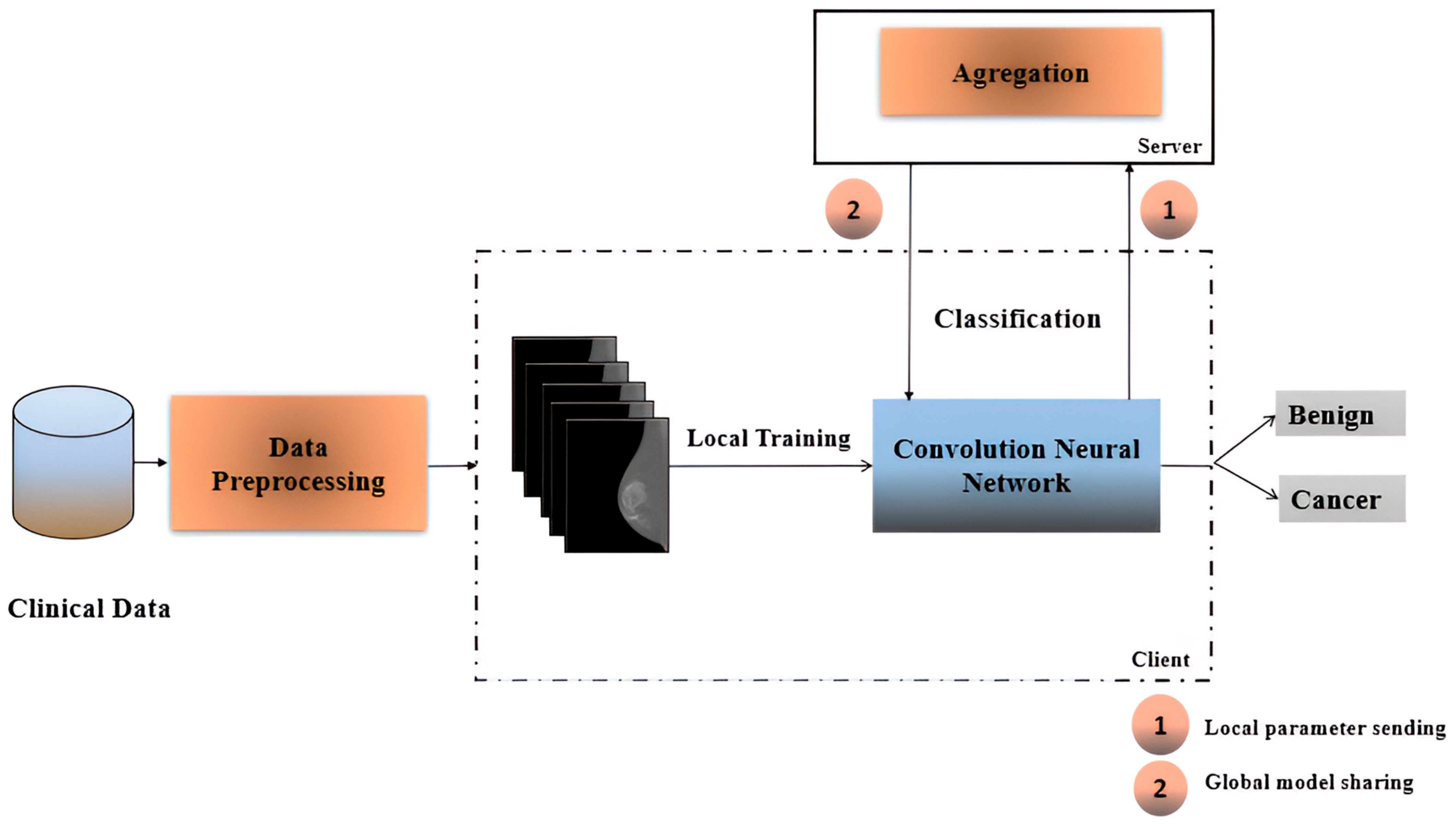 Cancers 17 03450 g001 Cancers 17 03450 g001