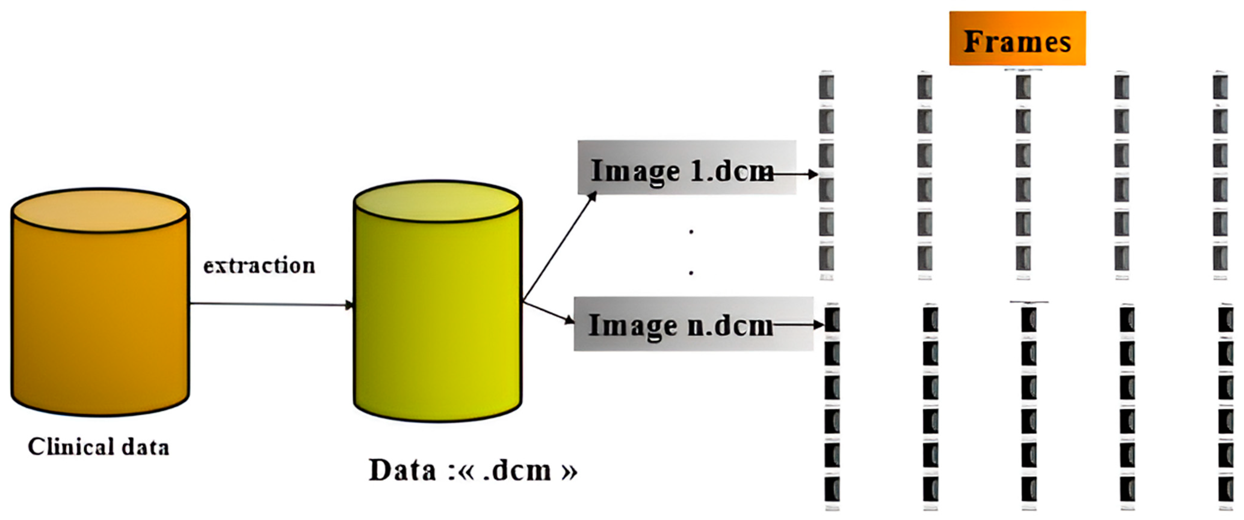 Cancers 17 03450 g003 Cancers 17 03450 g003