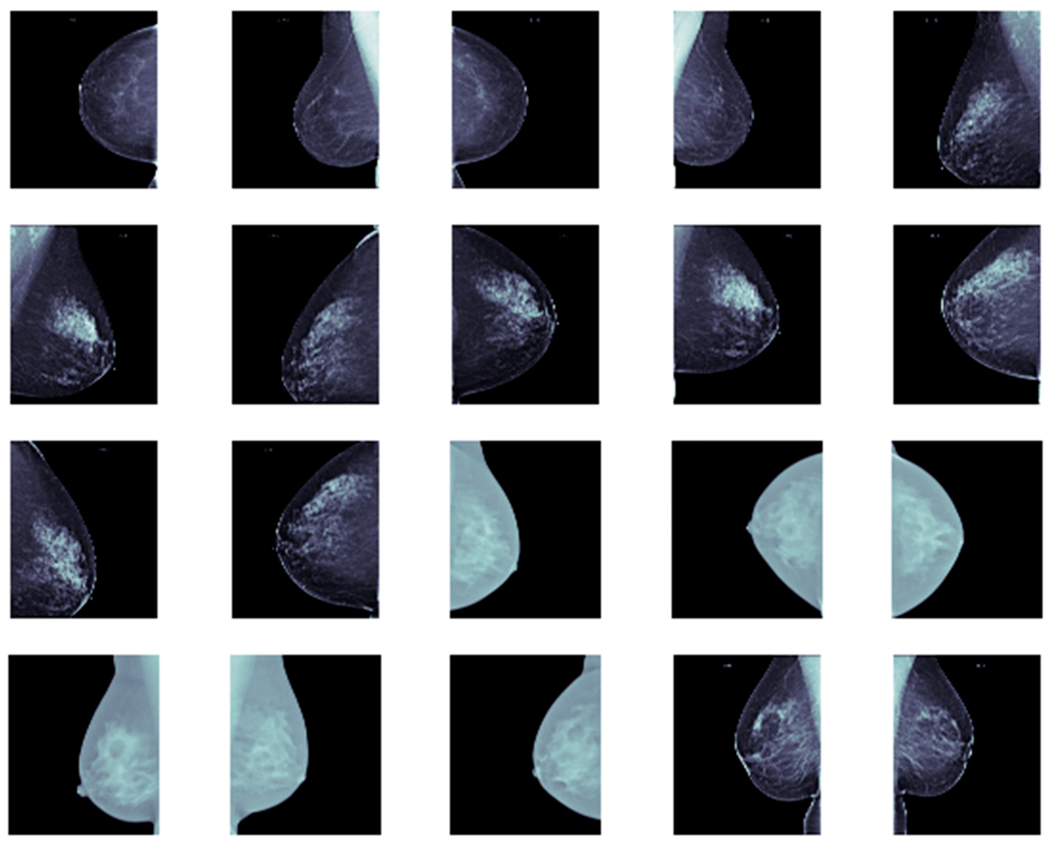 Cancers 17 03450 g005 Cancers 17 03450 g005