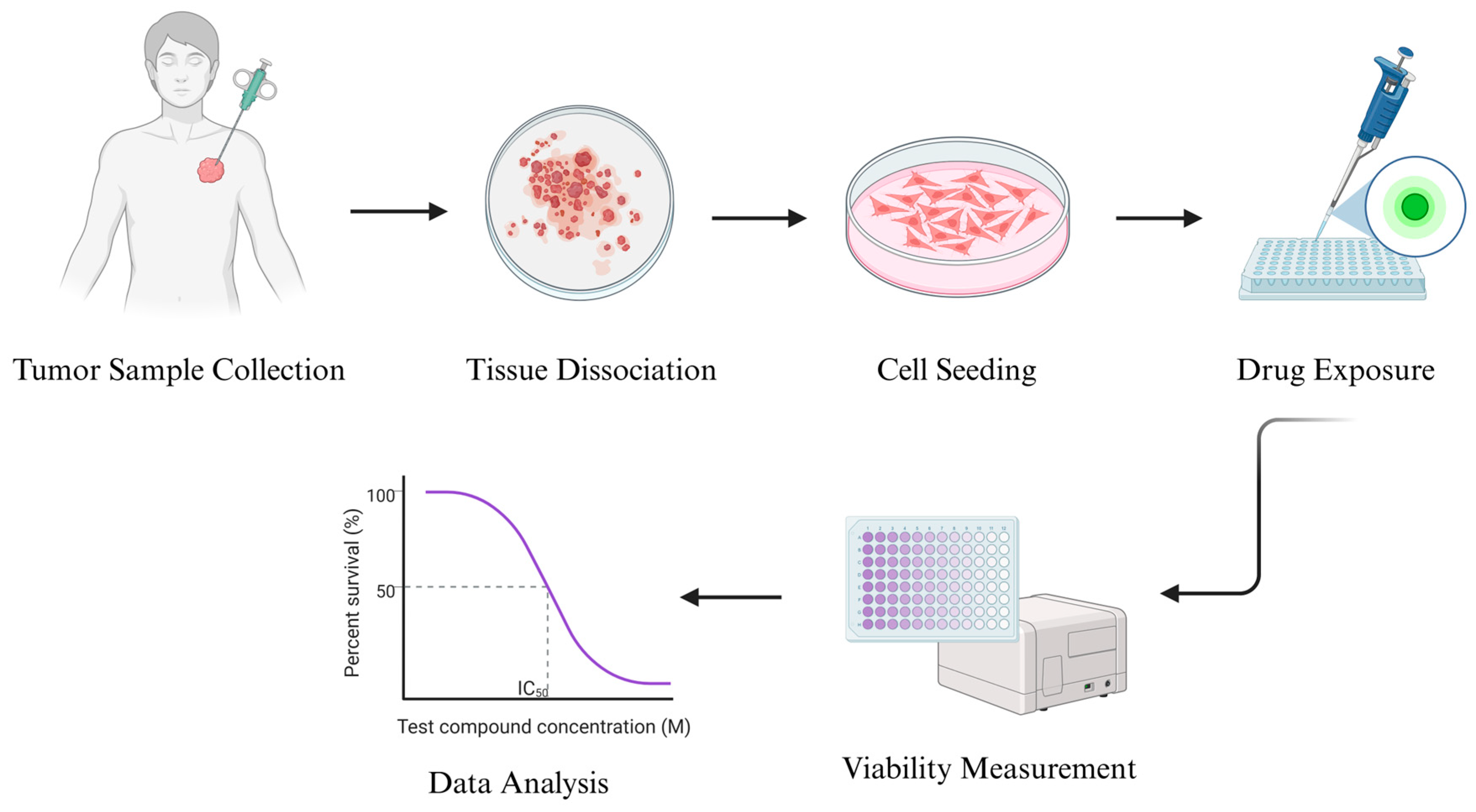 Cancers 17 03452 g001 Cancers 17 03452 g001