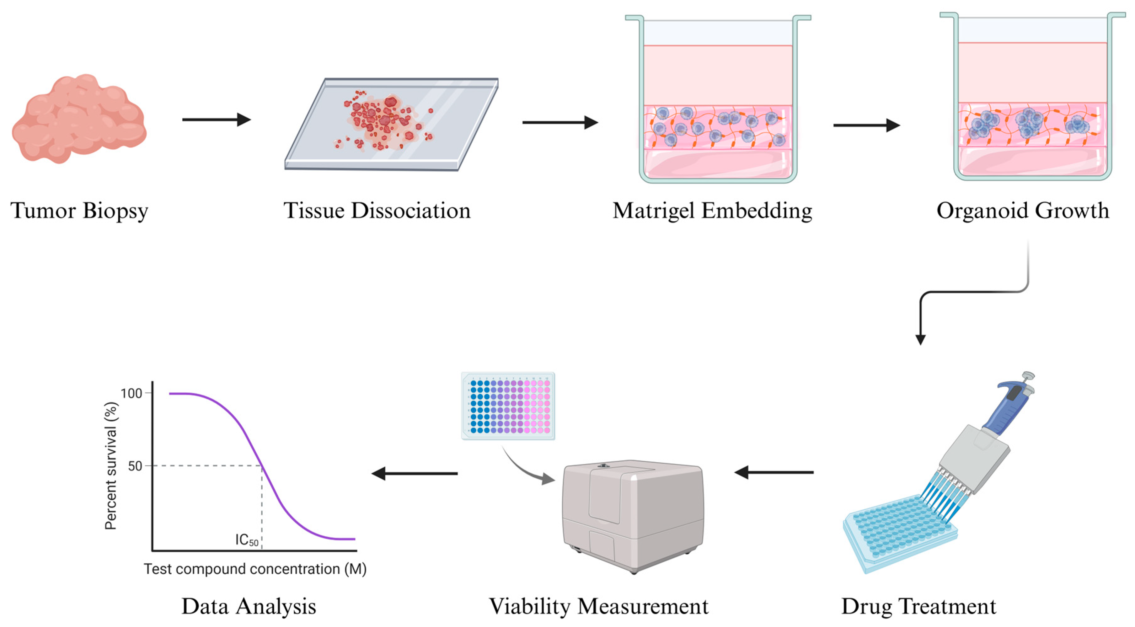 Cancers 17 03452 g002 Cancers 17 03452 g002