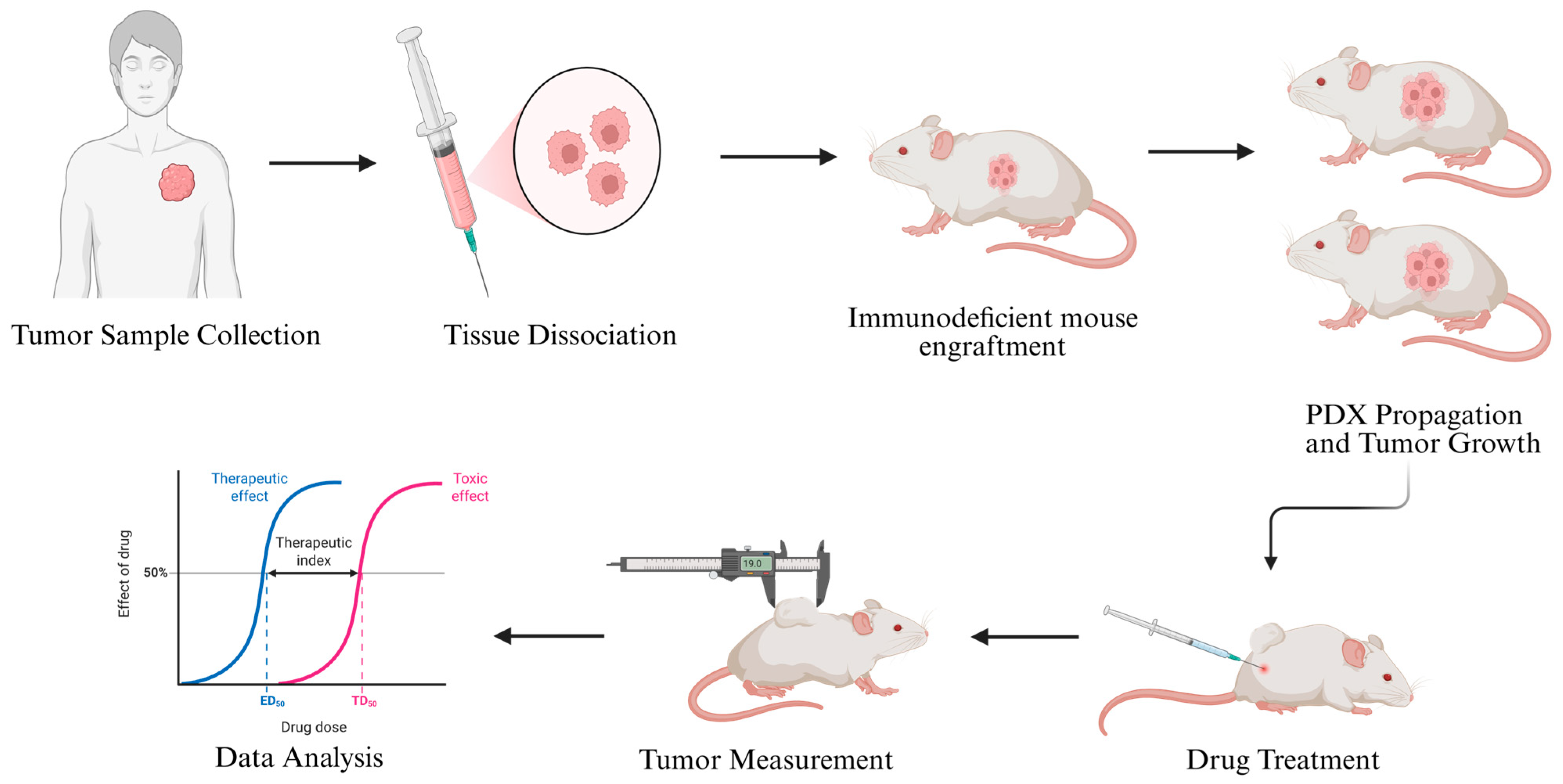 Cancers 17 03452 g003 Cancers 17 03452 g003