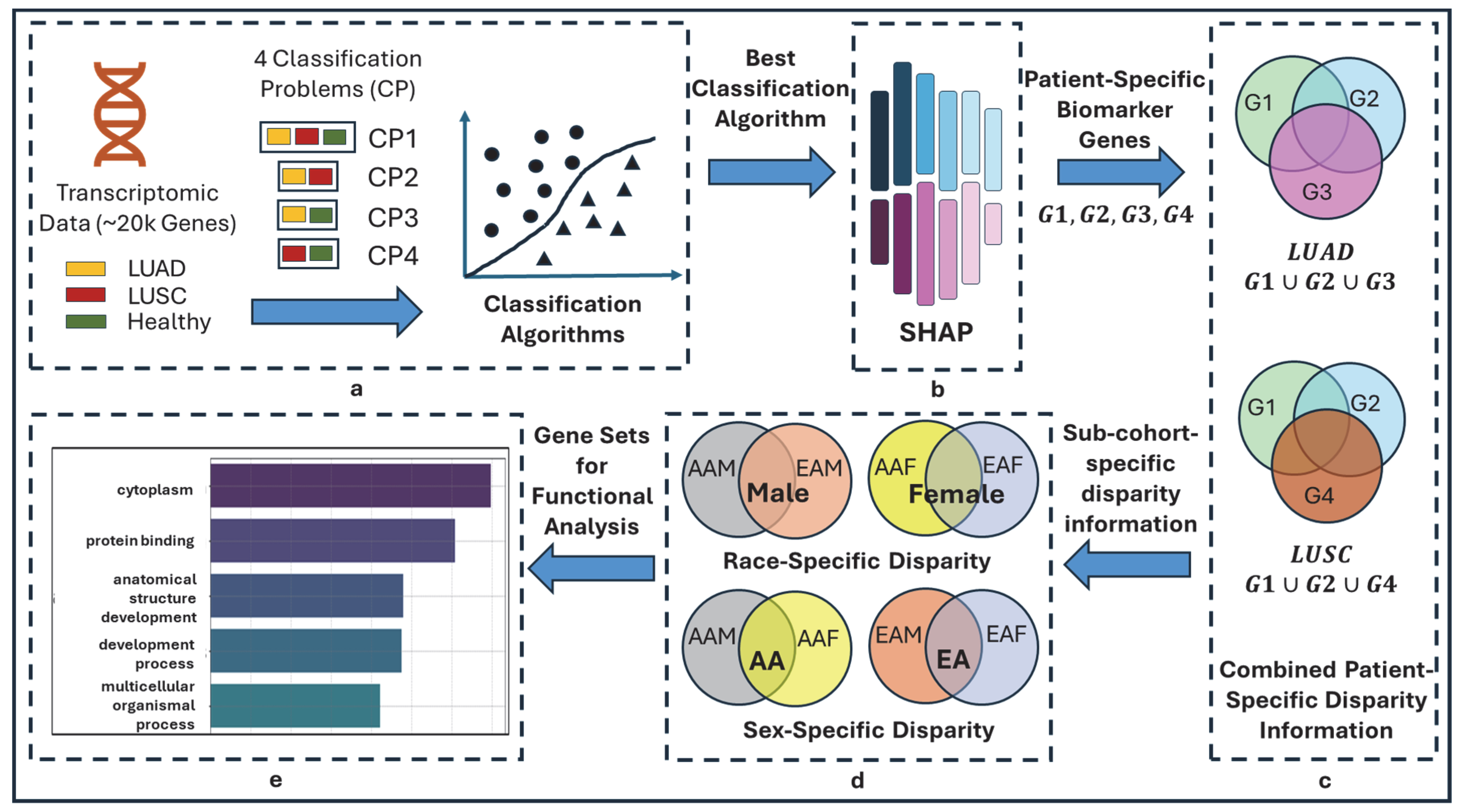 Cancers 17 03454 g001