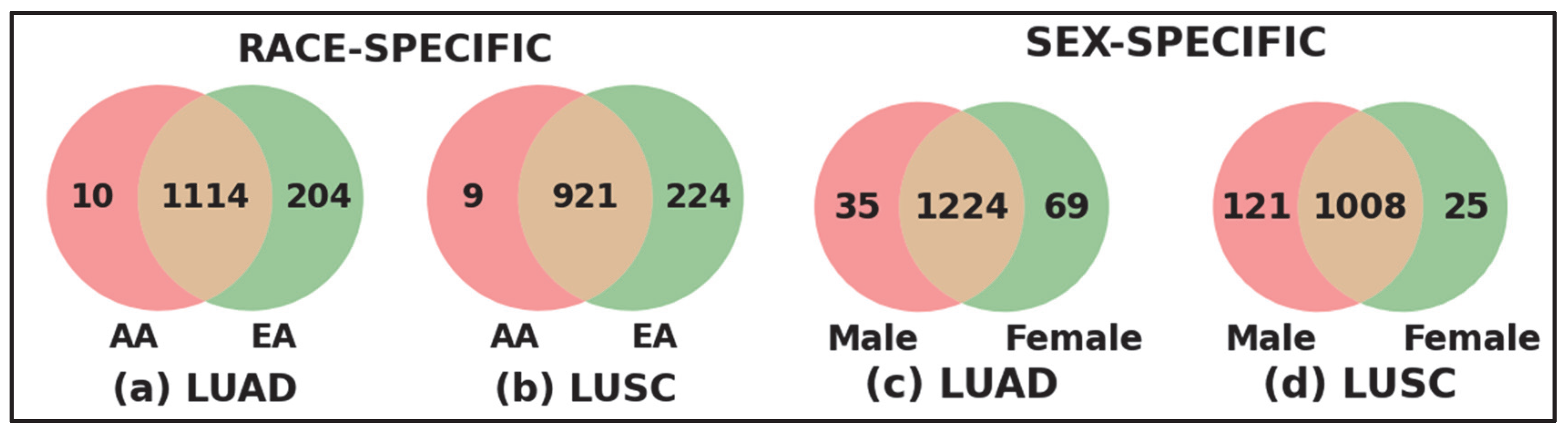 Cancers 17 03454 g004