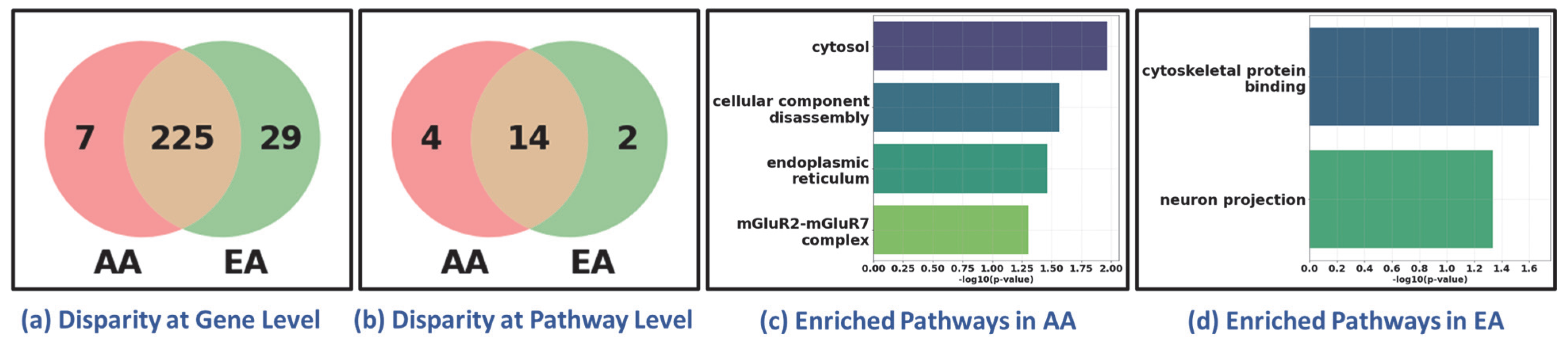 Cancers 17 03454 g006
