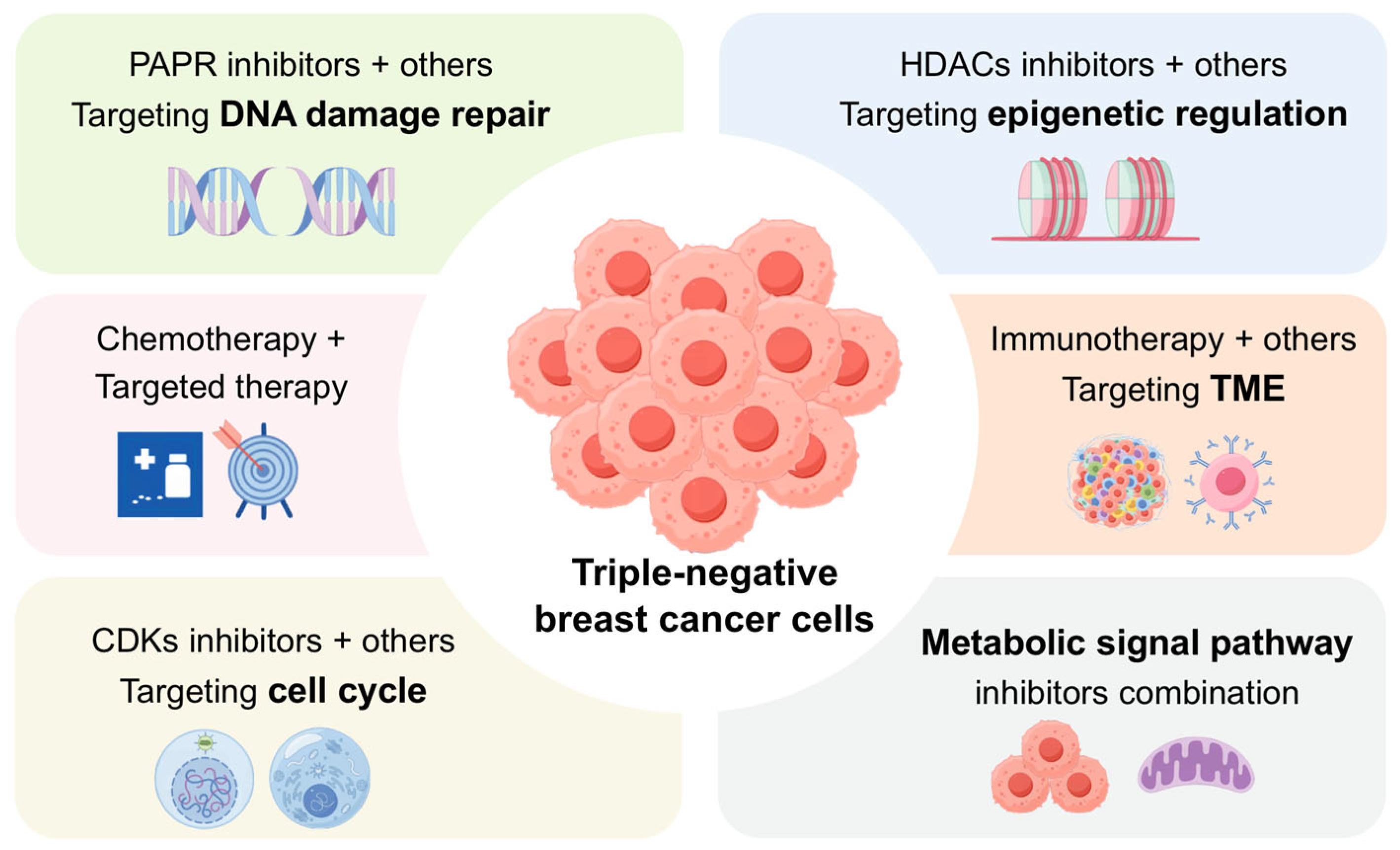 Cancers 17 03455 g001