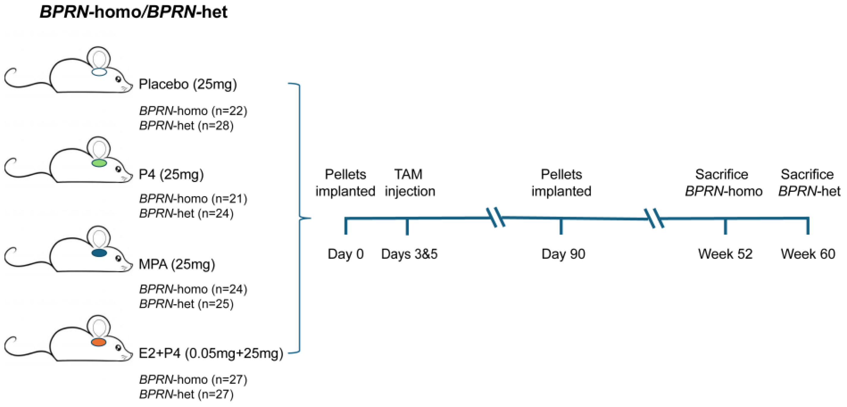 Cancers 17 03456 g001