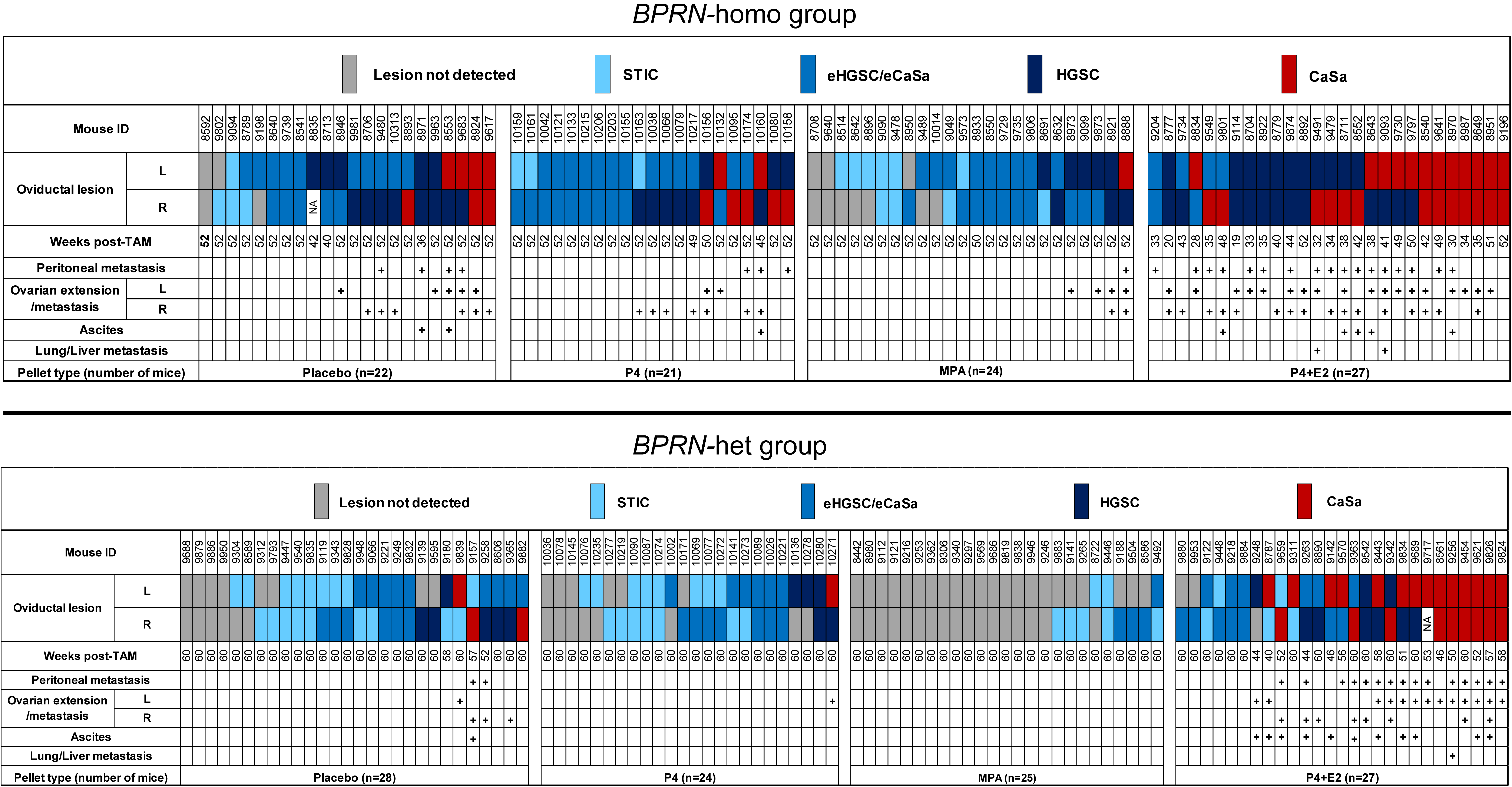 Cancers 17 03456 g002
