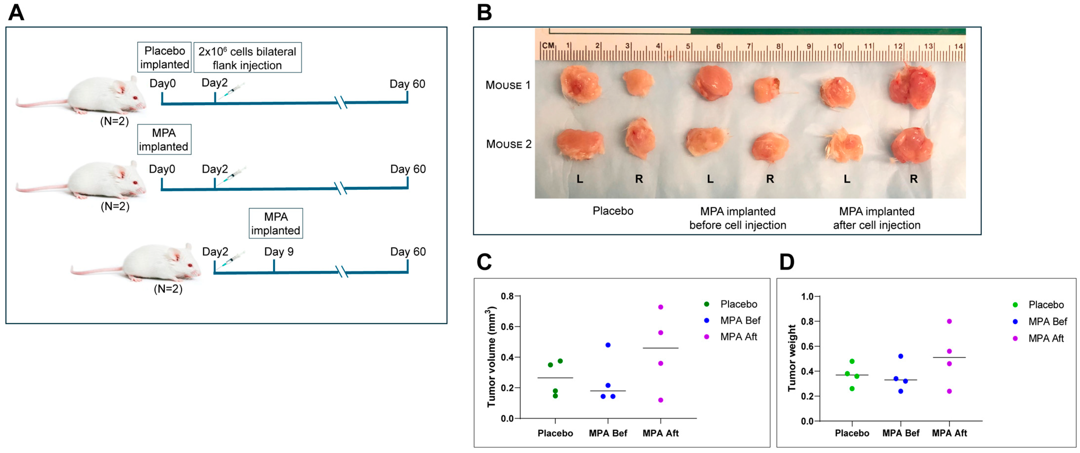 Cancers 17 03456 g004